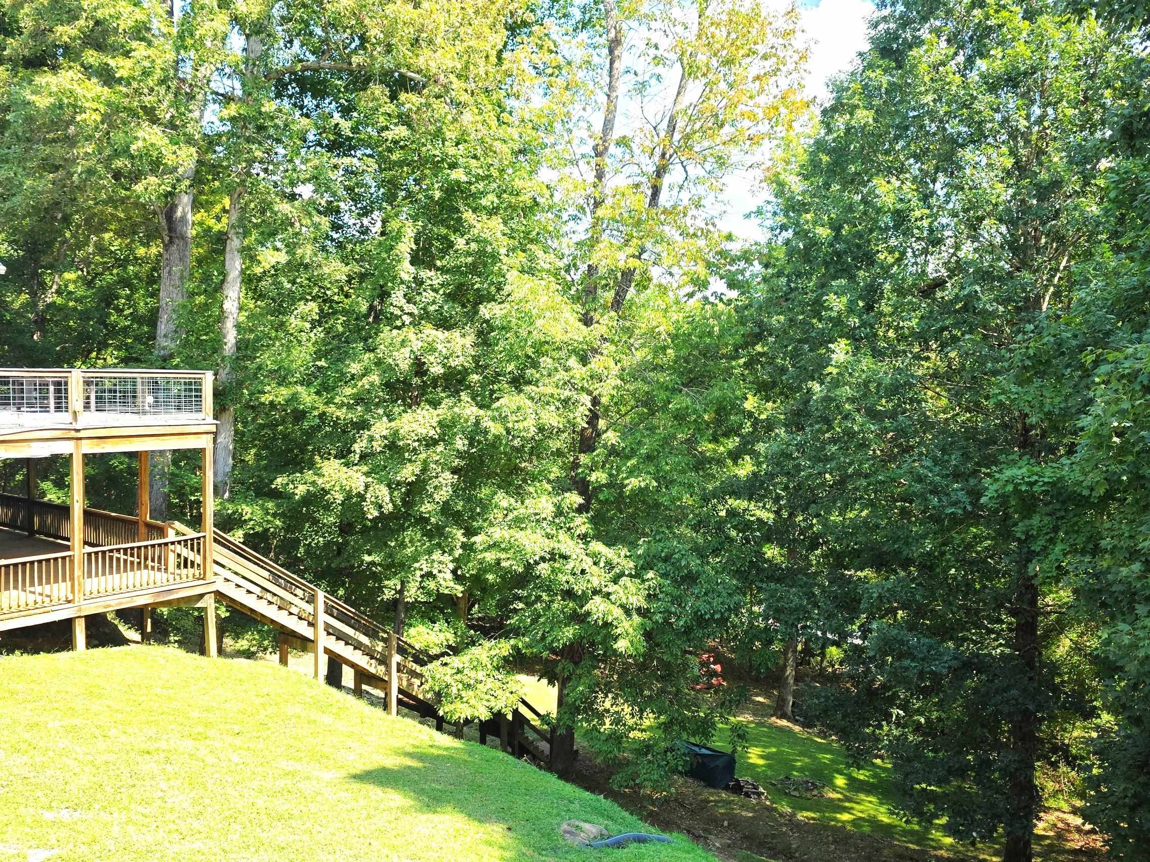 193 Meadowview Lane, Hardinsburg, Kentucky 40143, 3 Bedrooms Bedrooms, ,3 BathroomsBathrooms,Single Family Residence,For Sale,Meadowview Lane,93579