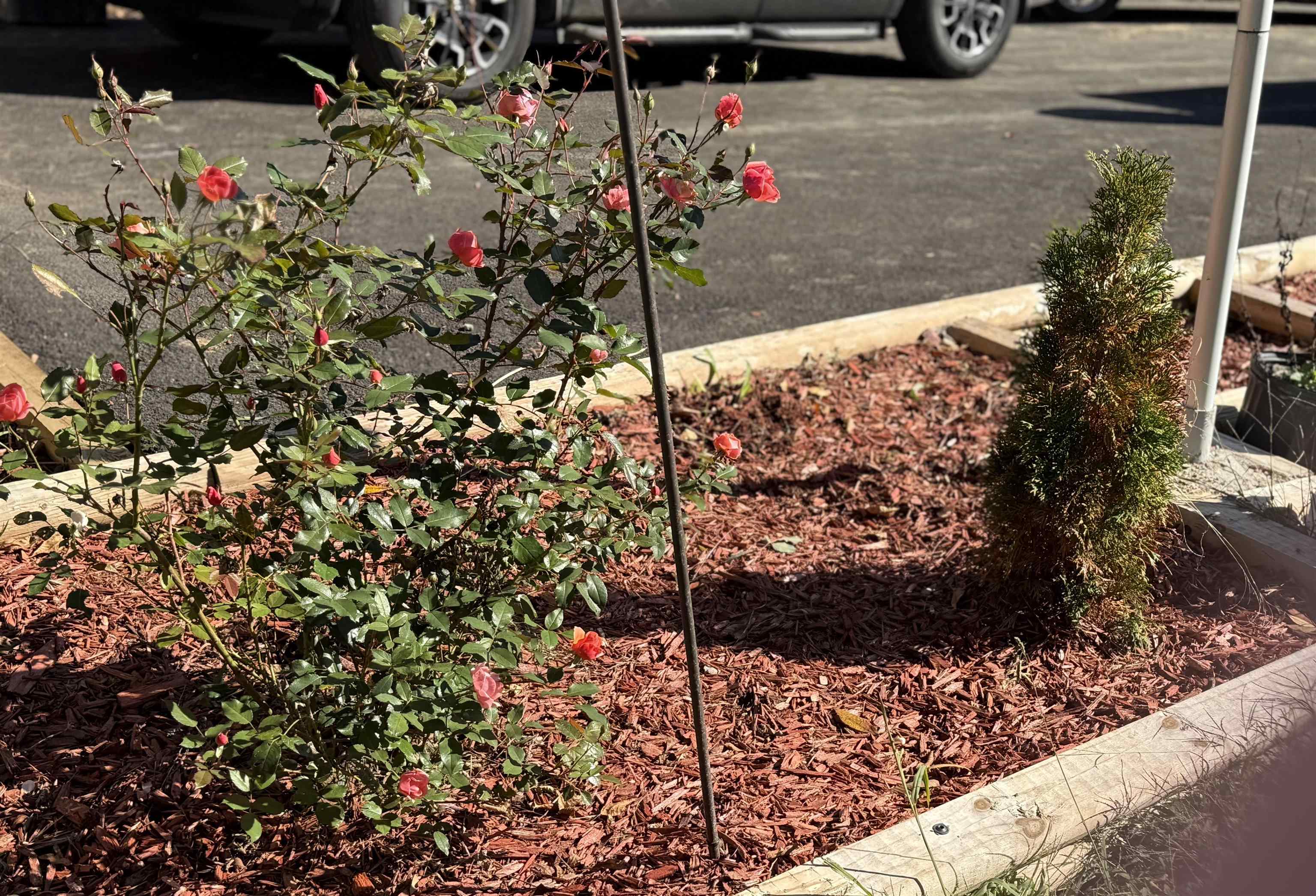 3180 Old Halls Creek Road, Beaver Dam, Kentucky 42320, 2 Bedrooms Bedrooms, ,1 BathroomBathrooms,Farm,For Sale,Old Halls Creek Road,93621