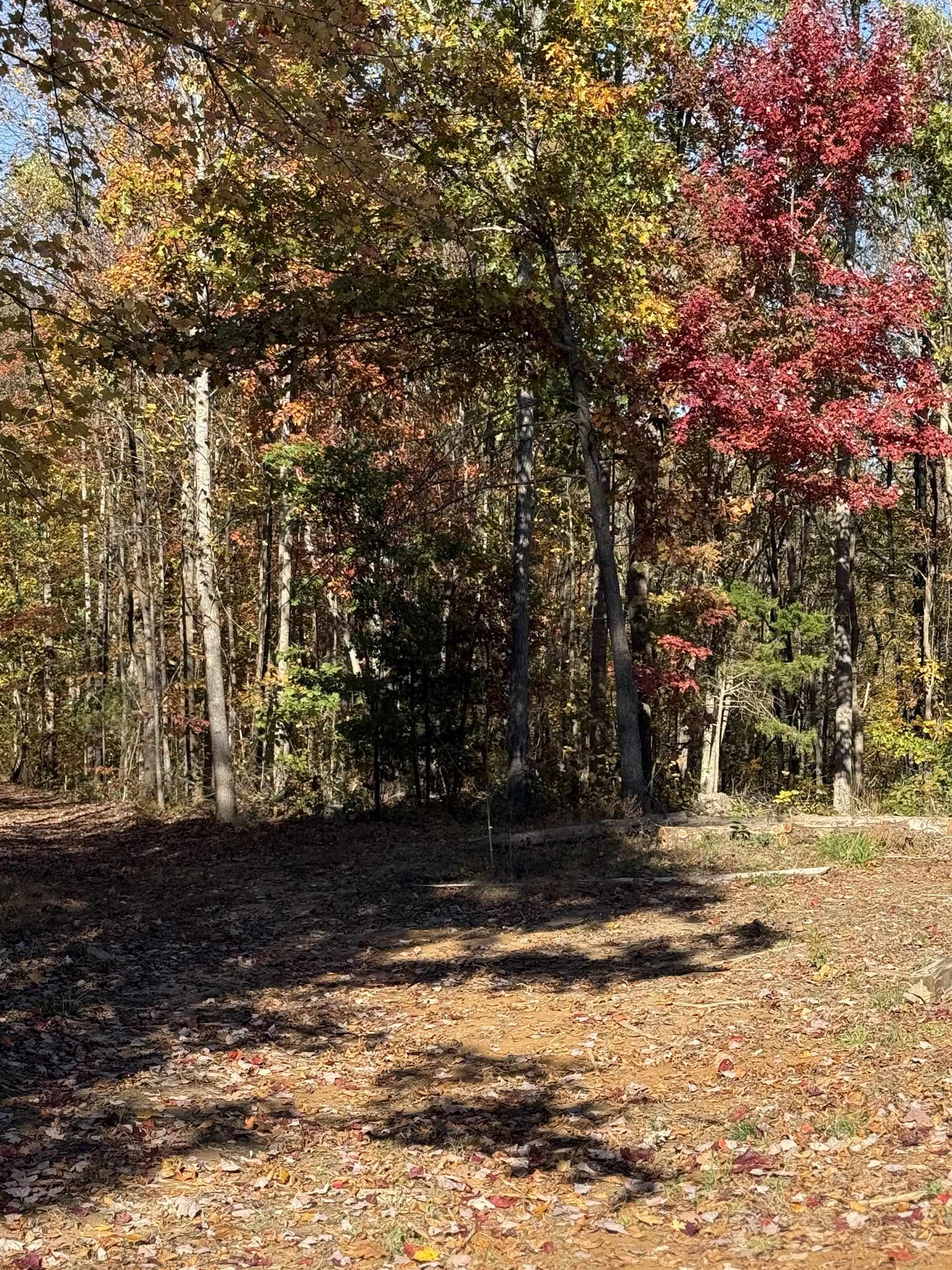 3180 Old Halls Creek Road, Beaver Dam, Kentucky 42320, 2 Bedrooms Bedrooms, ,1 BathroomBathrooms,Farm,For Sale,Old Halls Creek Road,93621