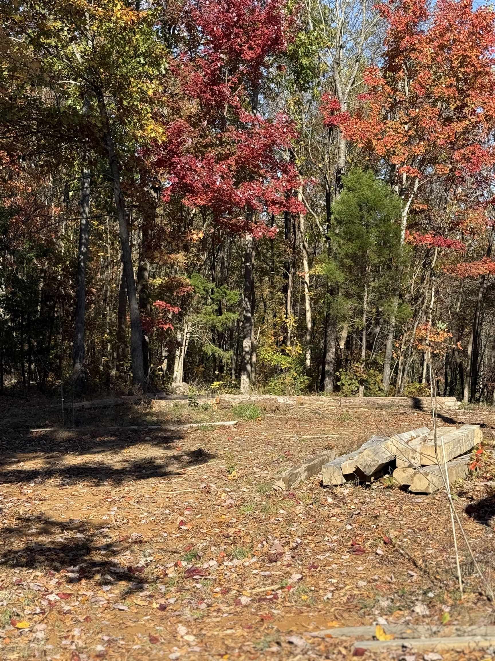 3180 Old Halls Creek Road, Beaver Dam, Kentucky 42320, 2 Bedrooms Bedrooms, ,1 BathroomBathrooms,Farm,For Sale,Old Halls Creek Road,93621