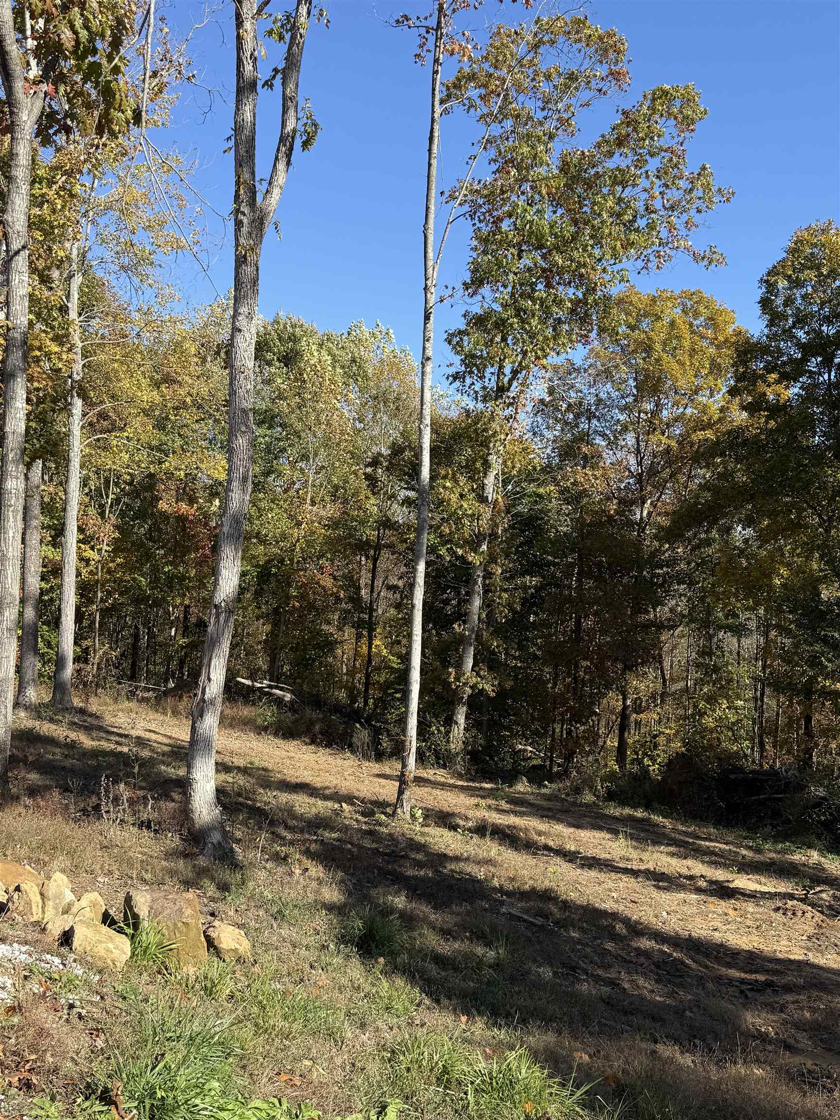 3180 Old Halls Creek Road, Beaver Dam, Kentucky 42320, 2 Bedrooms Bedrooms, ,1 BathroomBathrooms,Farm,For Sale,Old Halls Creek Road,93621