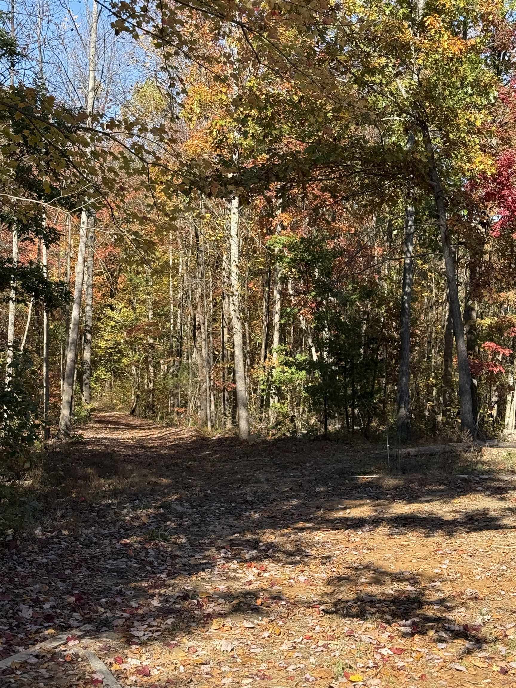 3180 Old Halls Creek Road, Beaver Dam, Kentucky 42320, 2 Bedrooms Bedrooms, ,1 BathroomBathrooms,Farm,For Sale,Old Halls Creek Road,93621