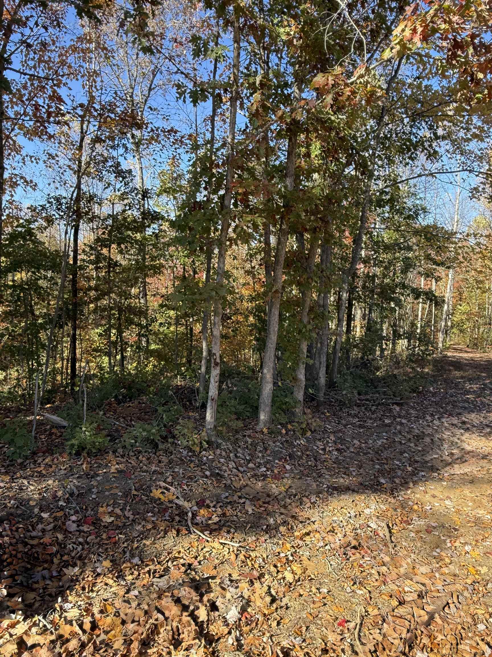 3180 Old Halls Creek Road, Beaver Dam, Kentucky 42320, 2 Bedrooms Bedrooms, ,1 BathroomBathrooms,Farm,For Sale,Old Halls Creek Road,93621