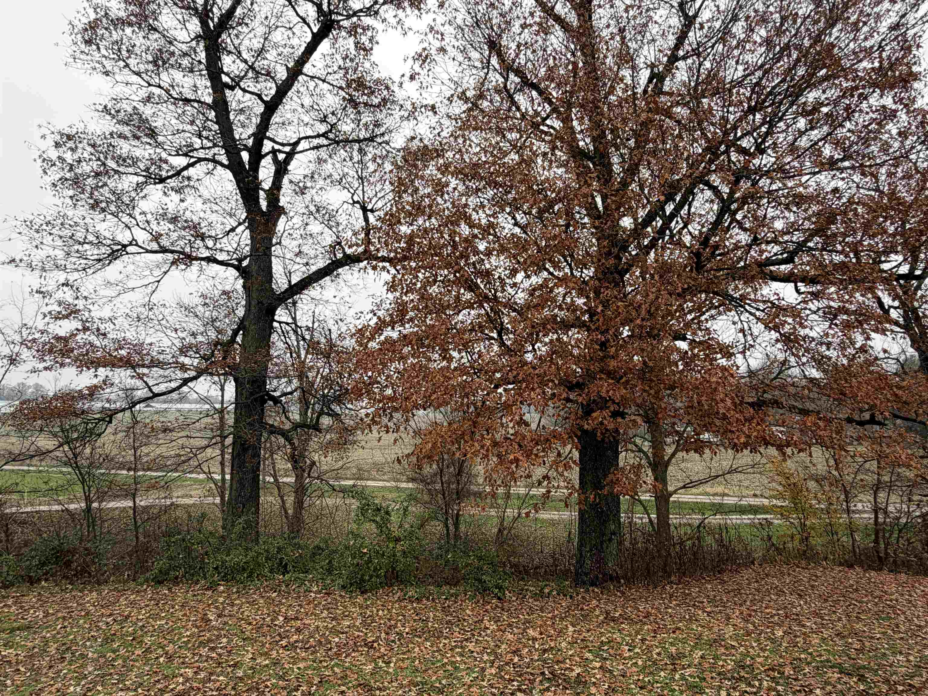 6326 Hwy 250, Calhoun, Kentucky 42327, 2 Bedrooms Bedrooms, ,1 BathroomBathrooms,Single Family Residence,For Sale,Hwy 250,93635