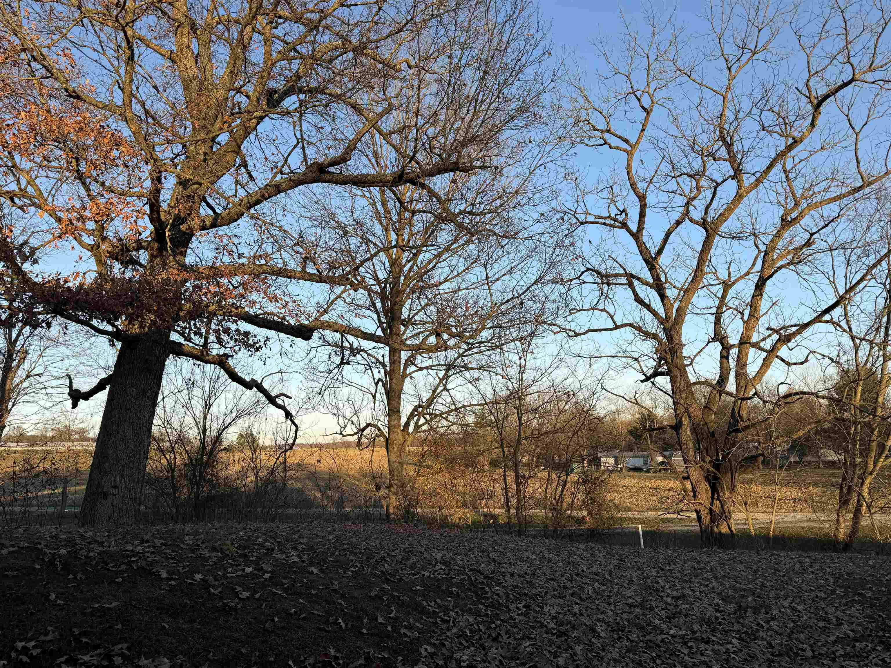 6326 Hwy 250, Calhoun, Kentucky 42327, 2 Bedrooms Bedrooms, ,1 BathroomBathrooms,Single Family Residence,For Sale,Hwy 250,93635