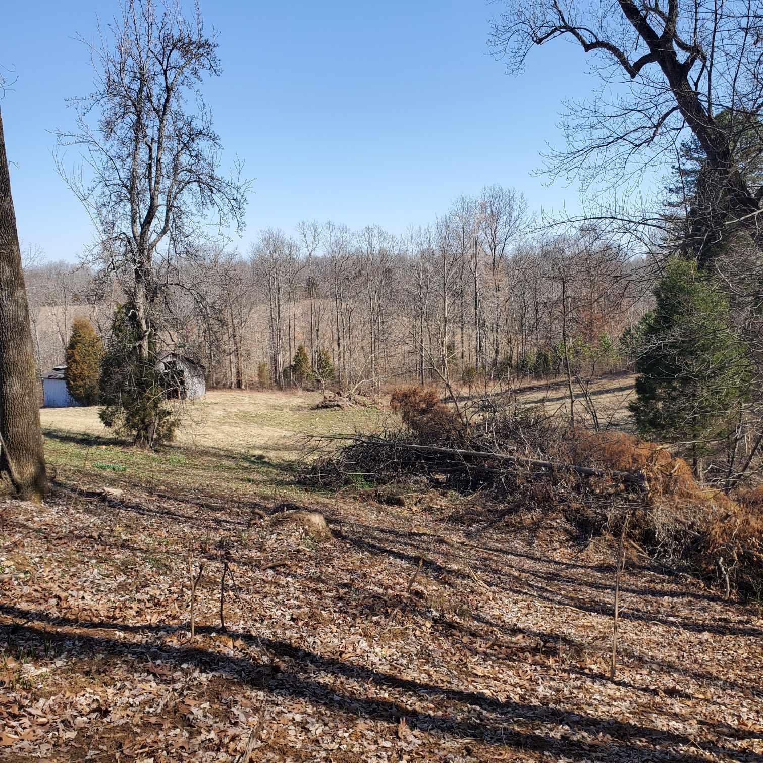 530 Askin Rd, Fordsville, Kentucky 42343, ,Land,For Sale,Askin Rd,93702