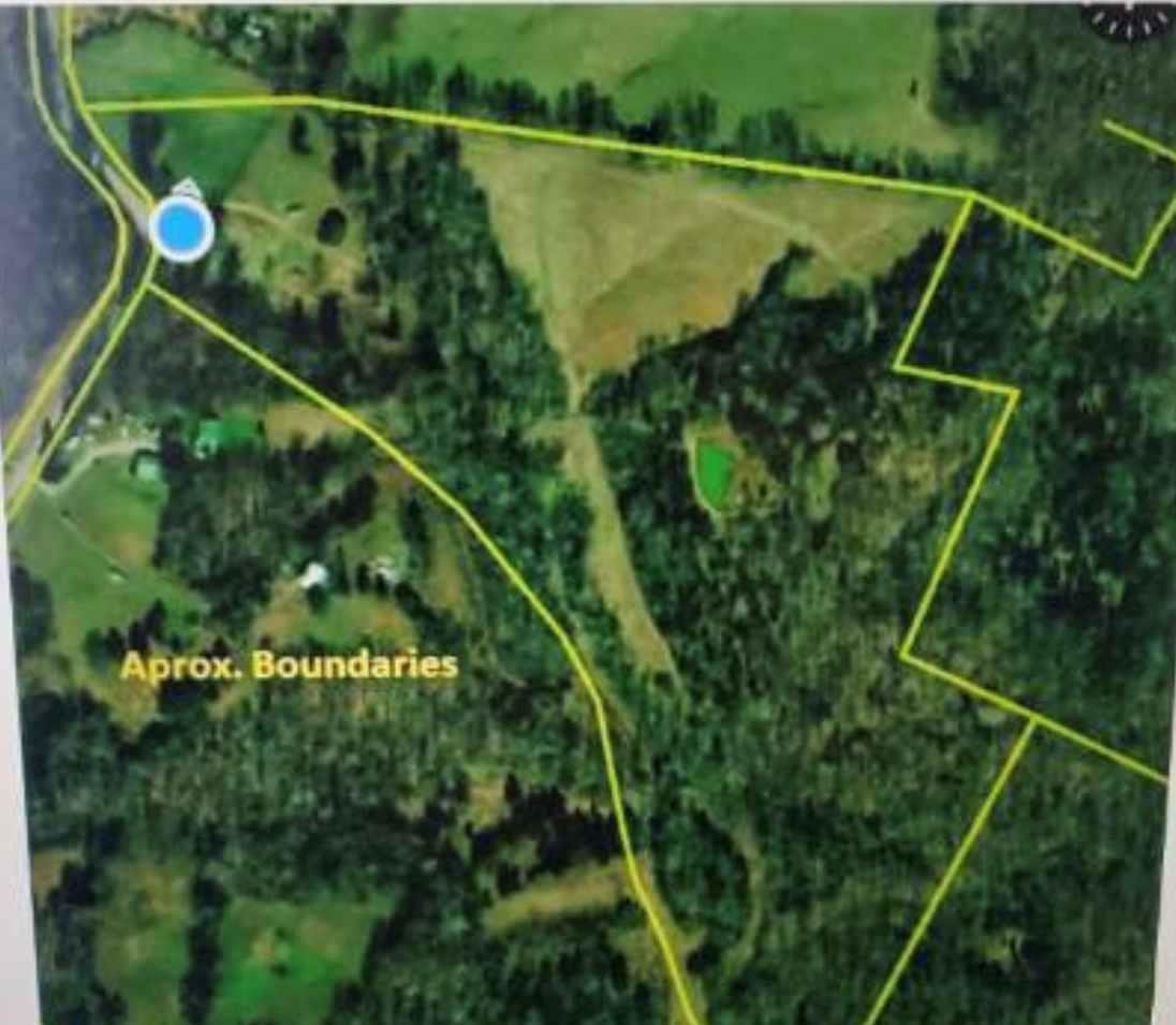 530 Askin Rd, Fordsville, Kentucky 42343, ,Land,For Sale,Askin Rd,93702