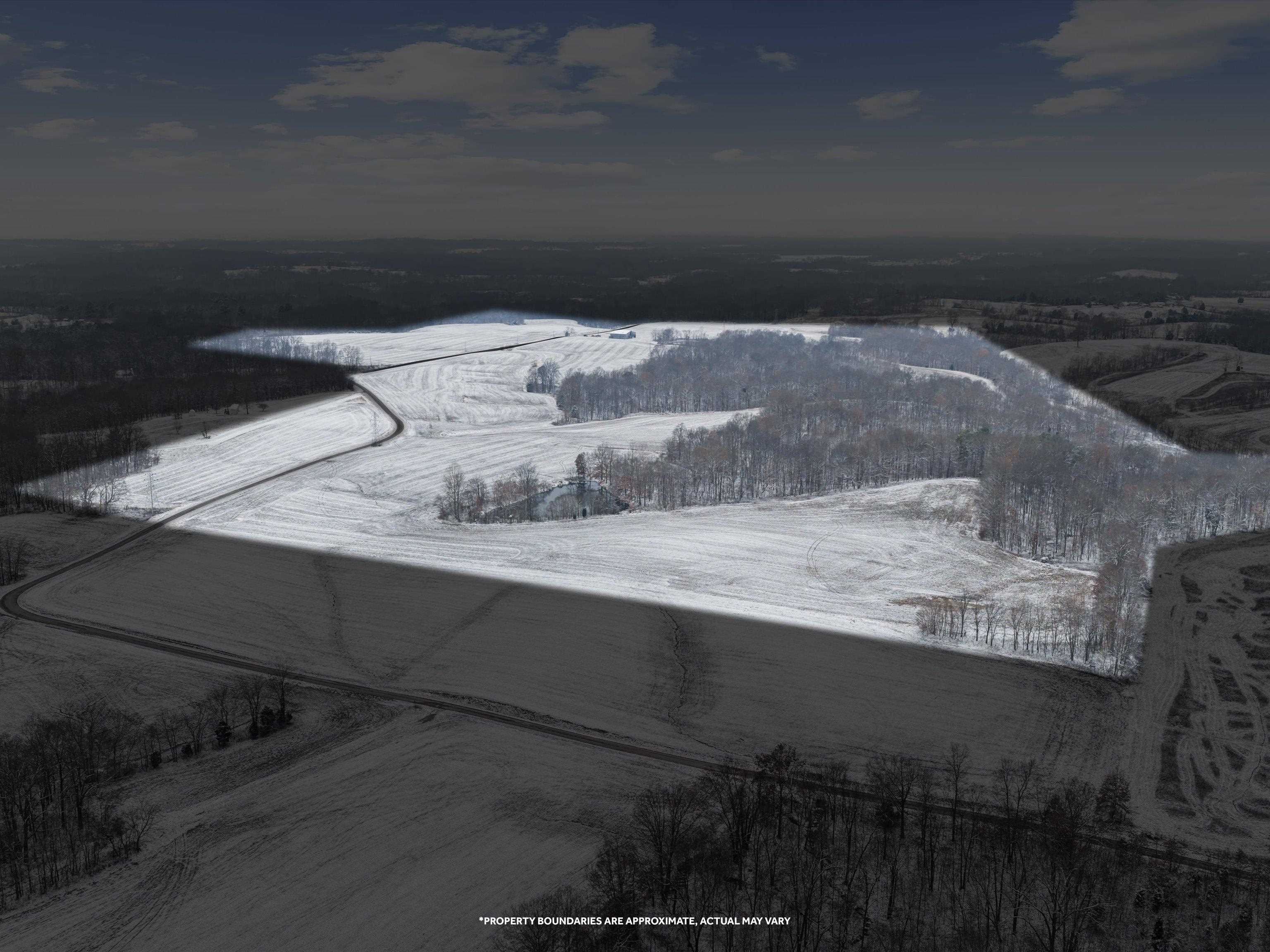 000 Waggener Church-Chalbeate Rd, Dixon, Kentucky 42404, ,Farm,For Sale,Waggener Church-Chalbeate Rd,93718