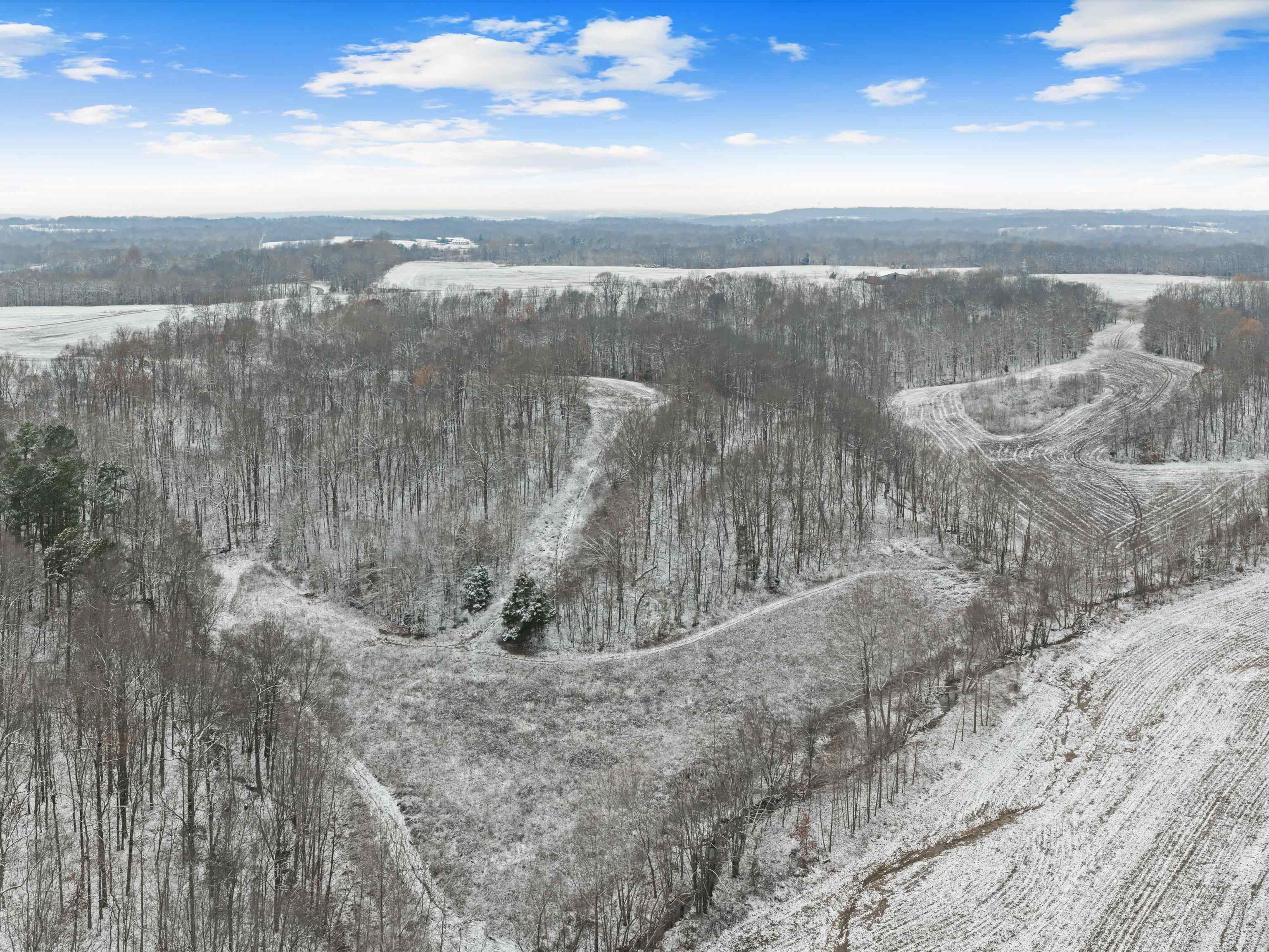 000 Waggener Church-Chalbeate Rd, Dixon, Kentucky 42404, ,Farm,For Sale,Waggener Church-Chalbeate Rd,93718