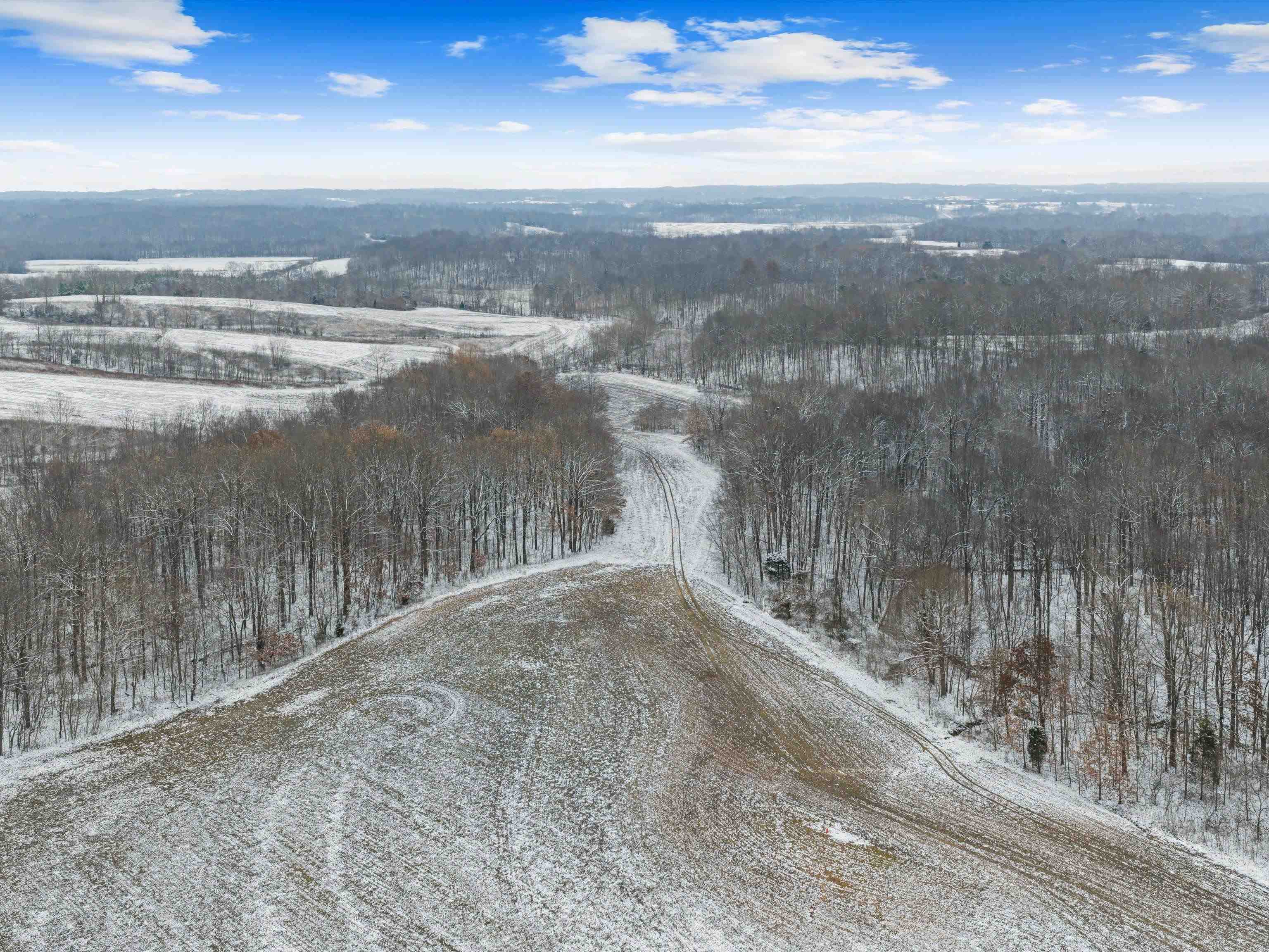 000 Waggener Church-Chalbeate Rd, Dixon, Kentucky 42404, ,Farm,For Sale,Waggener Church-Chalbeate Rd,93718