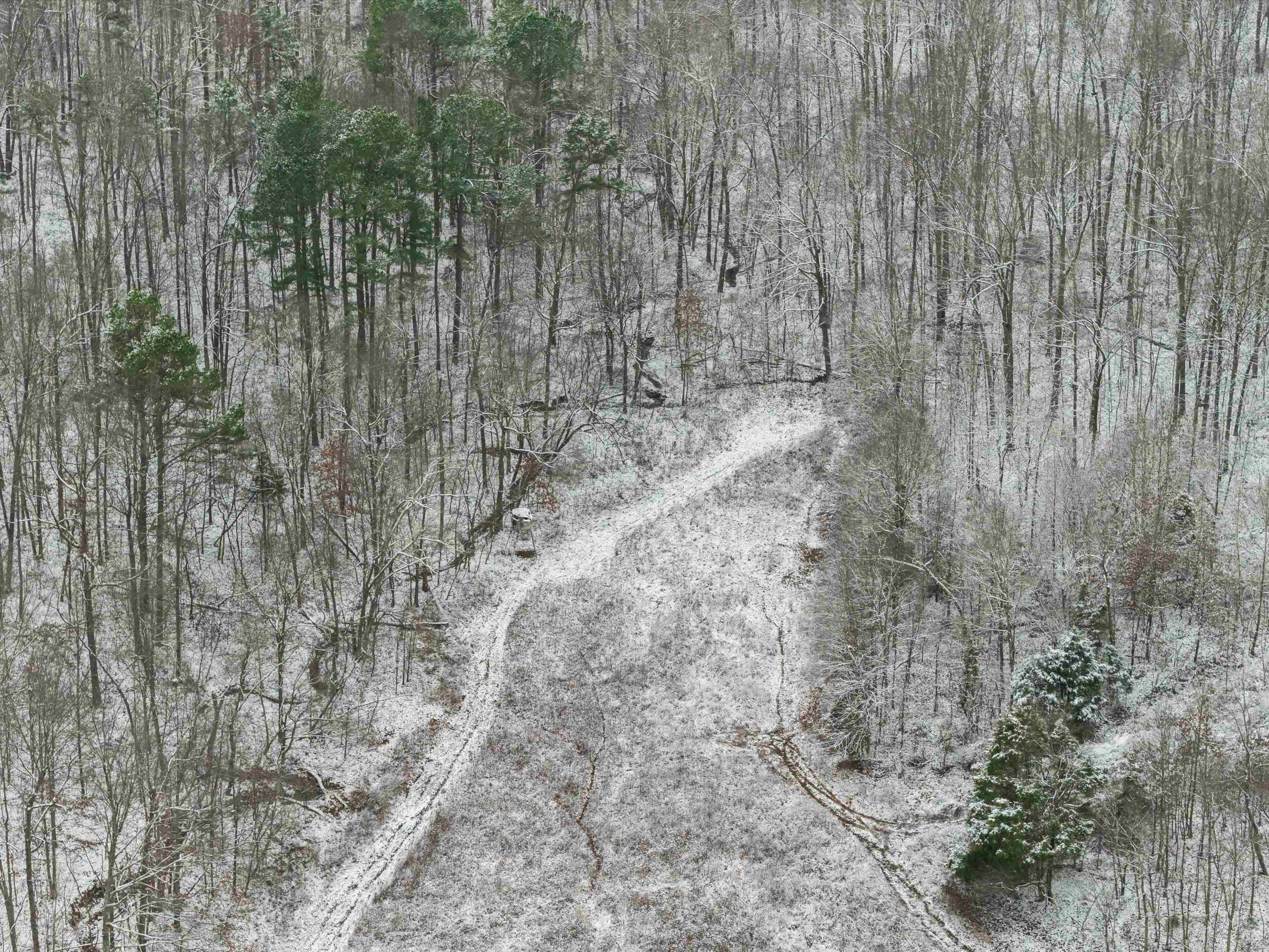 000 Waggener Church-Chalbeate Rd, Dixon, Kentucky 42404, ,Farm,For Sale,Waggener Church-Chalbeate Rd,93718