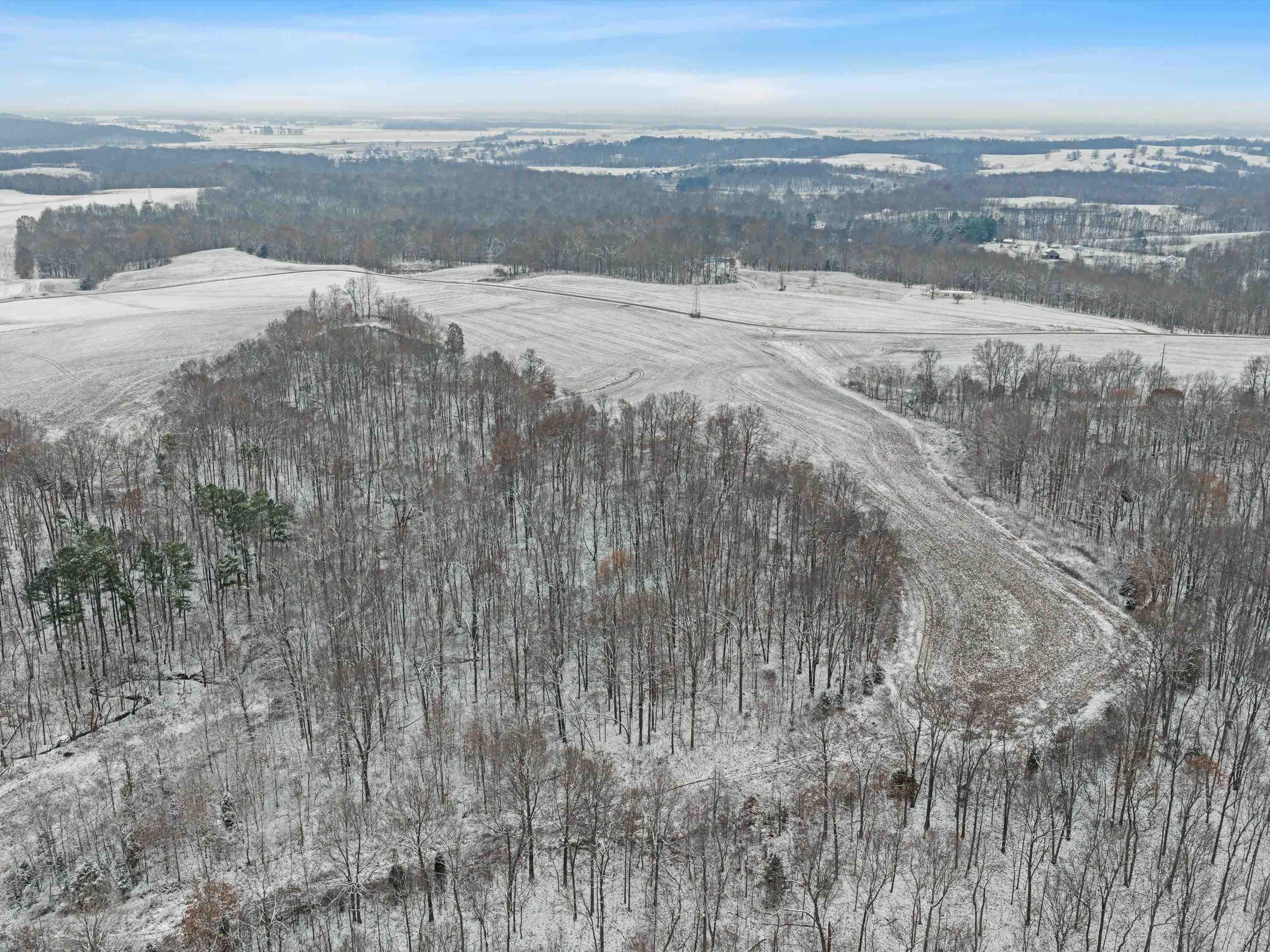 000 Waggener Church-Chalbeate Rd, Dixon, Kentucky 42404, ,Farm,For Sale,Waggener Church-Chalbeate Rd,93718