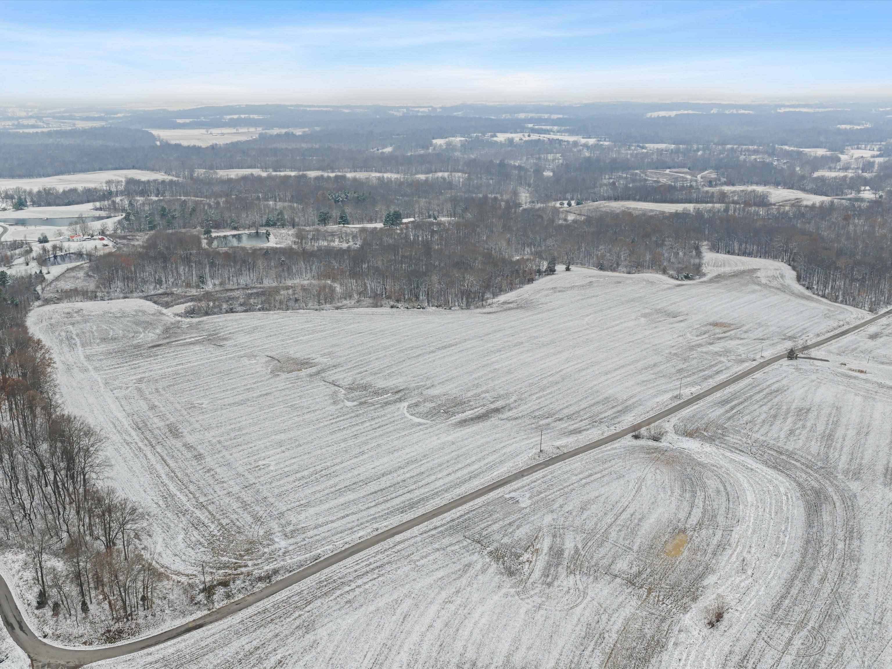 000 Waggener Church-Chalbeate Rd, Dixon, Kentucky 42404, ,Farm,For Sale,Waggener Church-Chalbeate Rd,93718