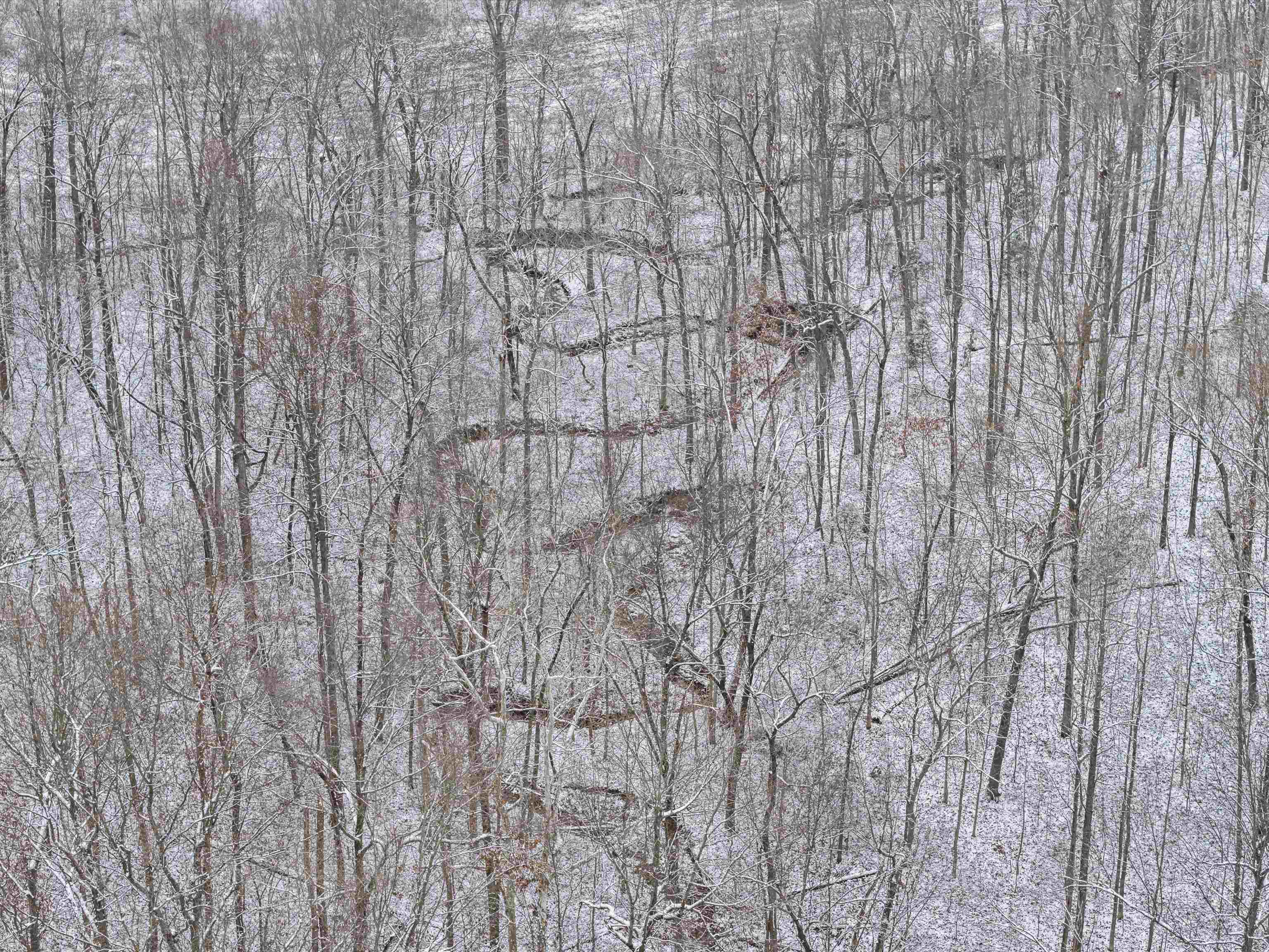 000 Waggener Church-Chalbeate Rd, Dixon, Kentucky 42404, ,Farm,For Sale,Waggener Church-Chalbeate Rd,93718