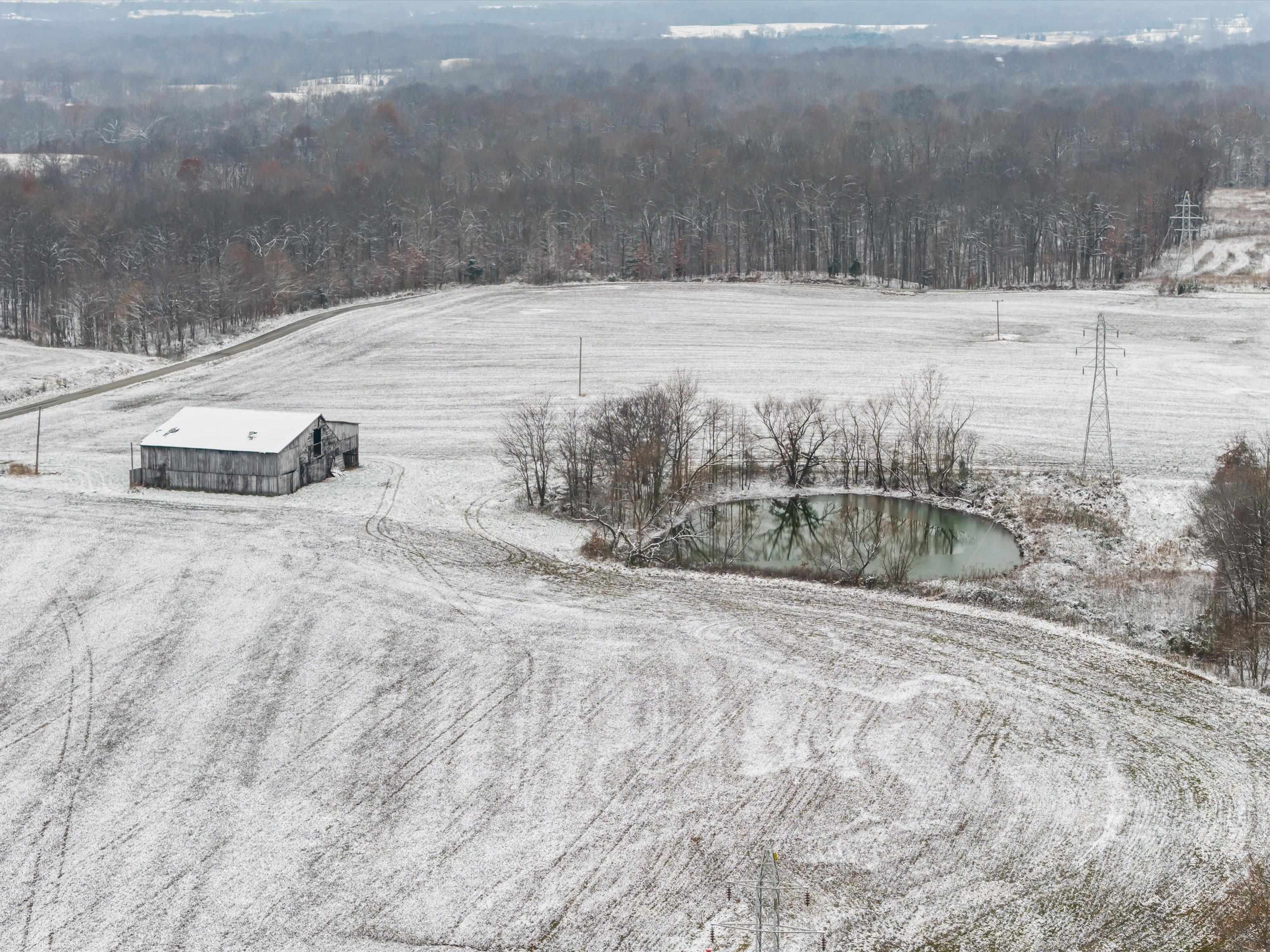 000 Waggener Church-Chalbeate Rd, Dixon, Kentucky 42404, ,Farm,For Sale,Waggener Church-Chalbeate Rd,93718