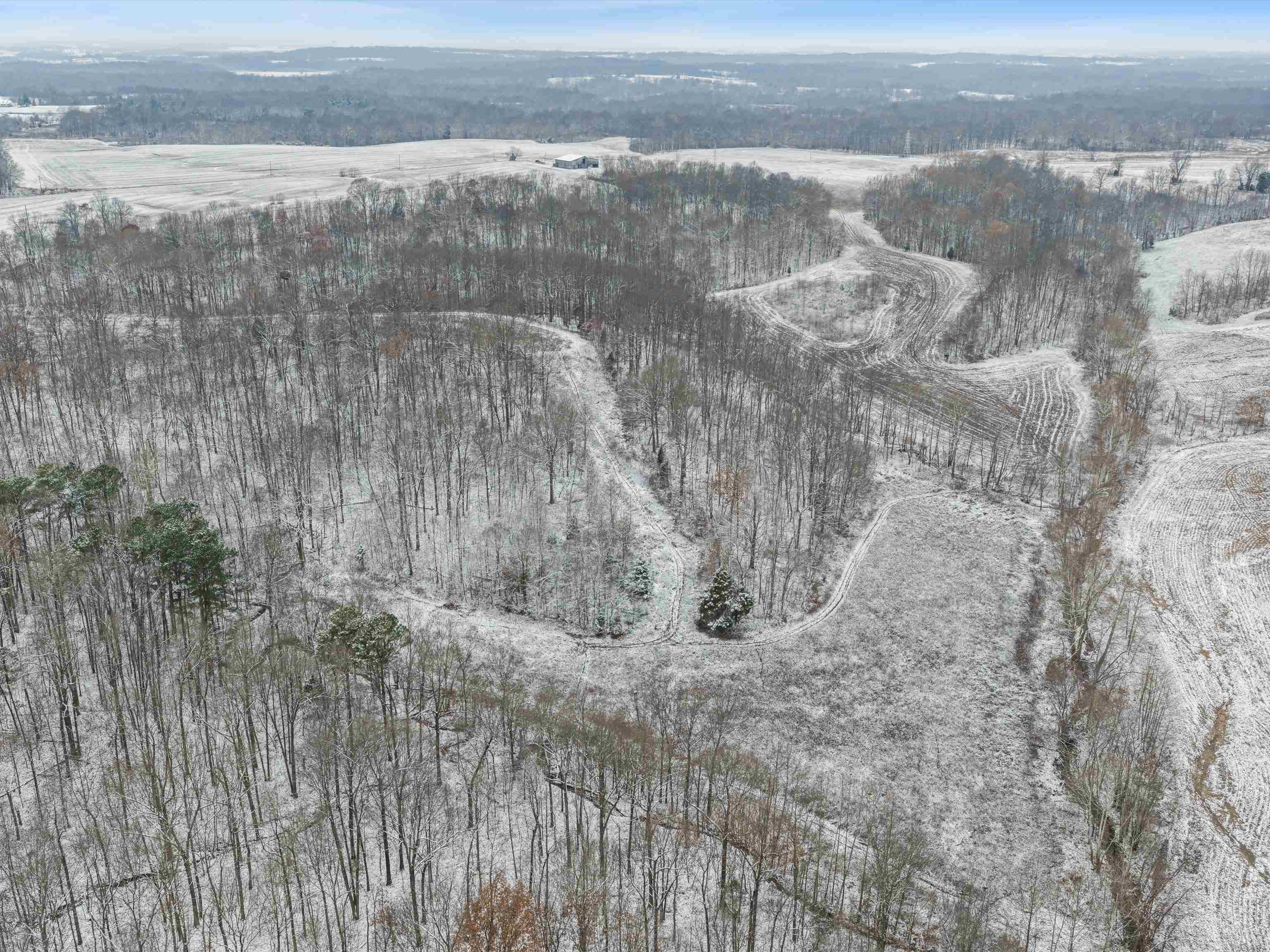 000 Waggener Church-Chalbeate Rd, Dixon, Kentucky 42404, ,Farm,For Sale,Waggener Church-Chalbeate Rd,93718