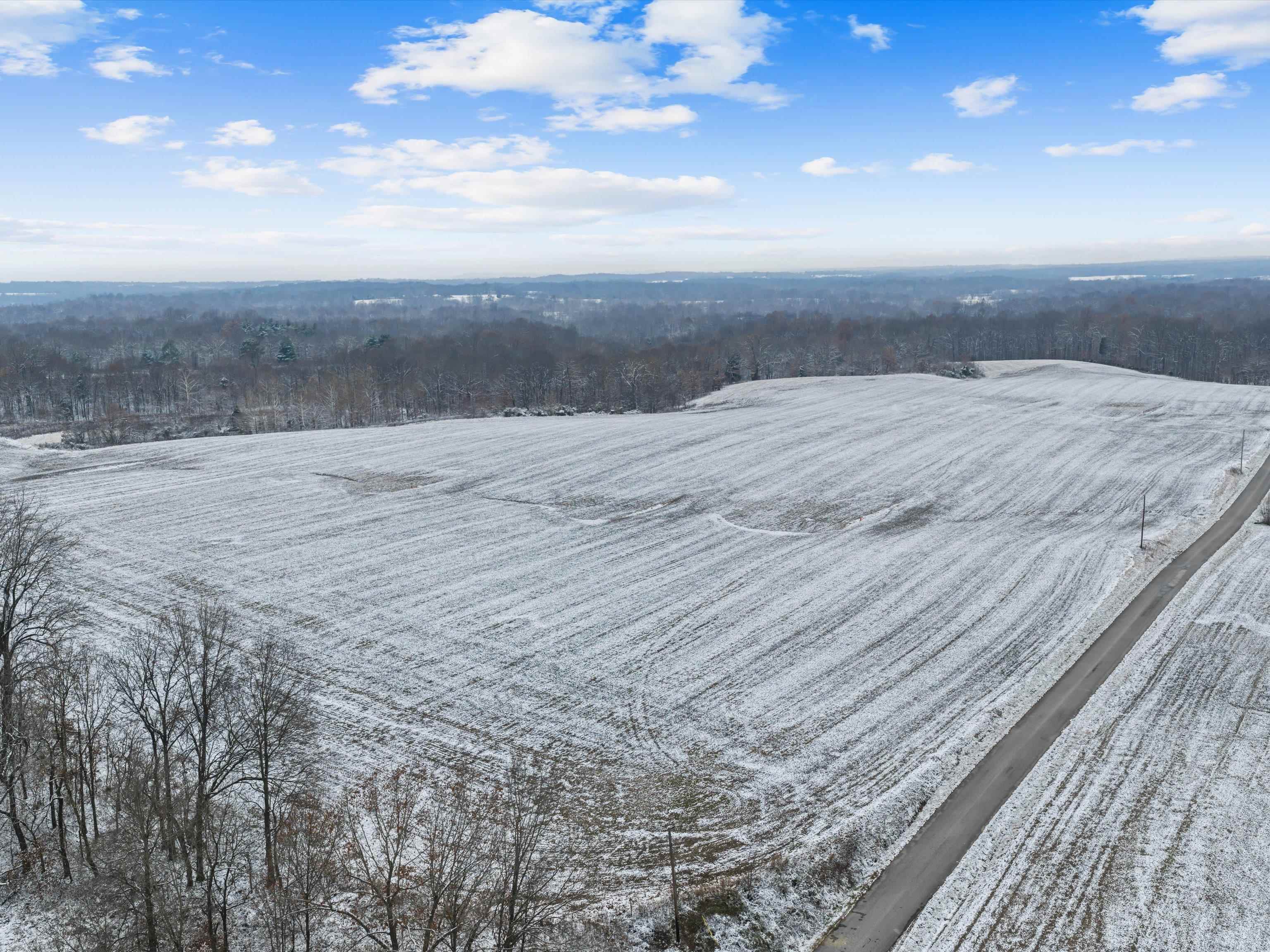 000 Waggener Church-Chalbeate Rd, Dixon, Kentucky 42404, ,Farm,For Sale,Waggener Church-Chalbeate Rd,93718