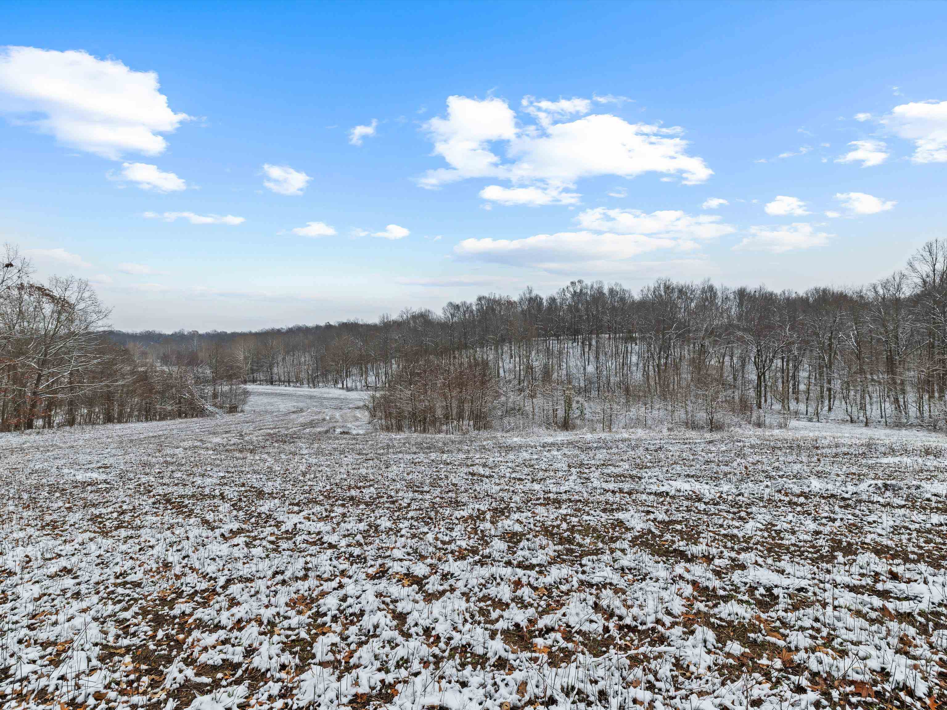 000 Waggener Church-Chalbeate Rd, Dixon, Kentucky 42404, ,Farm,For Sale,Waggener Church-Chalbeate Rd,93718