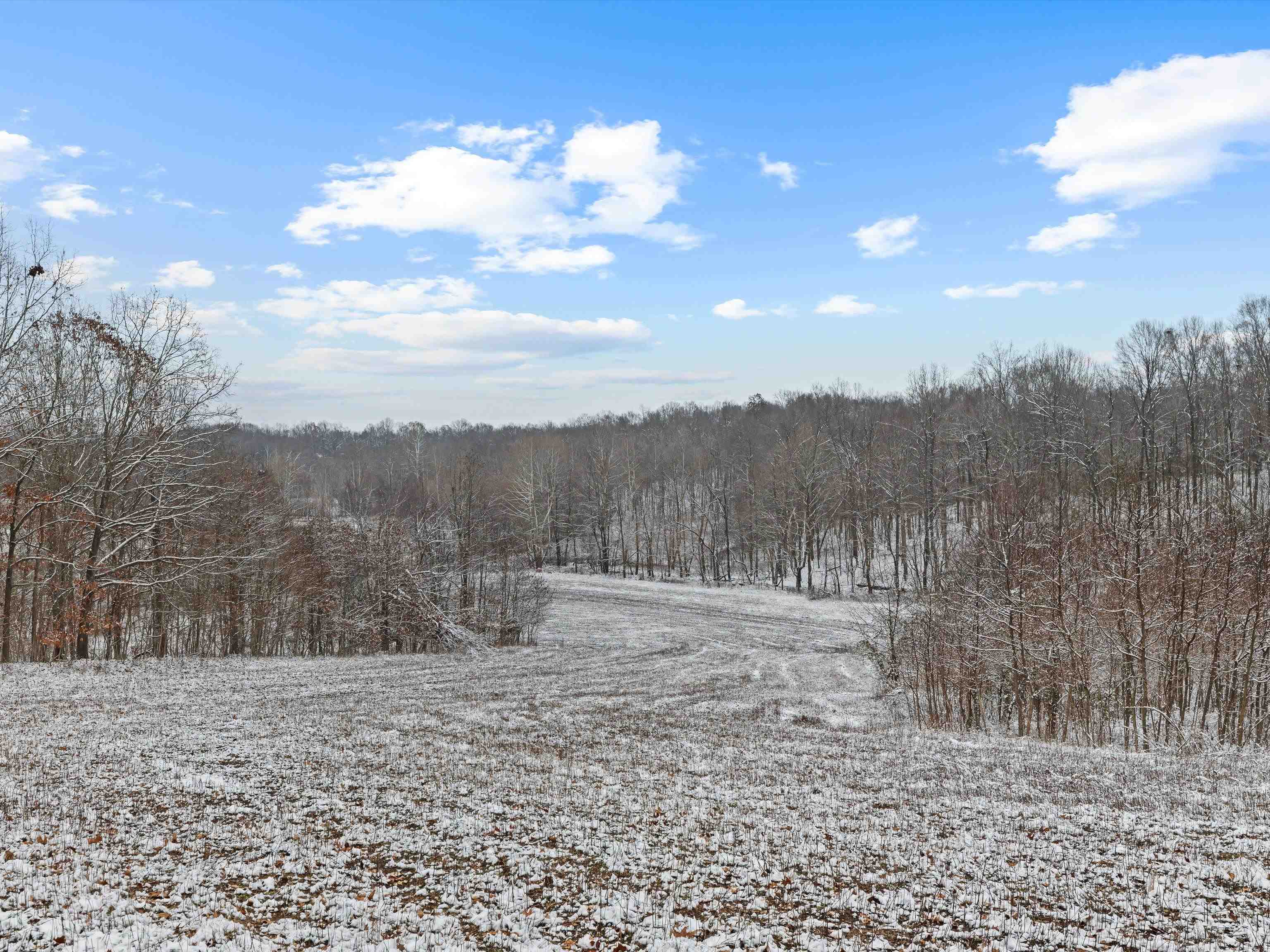 000 Waggener Church-Chalbeate Rd, Dixon, Kentucky 42404, ,Farm,For Sale,Waggener Church-Chalbeate Rd,93718