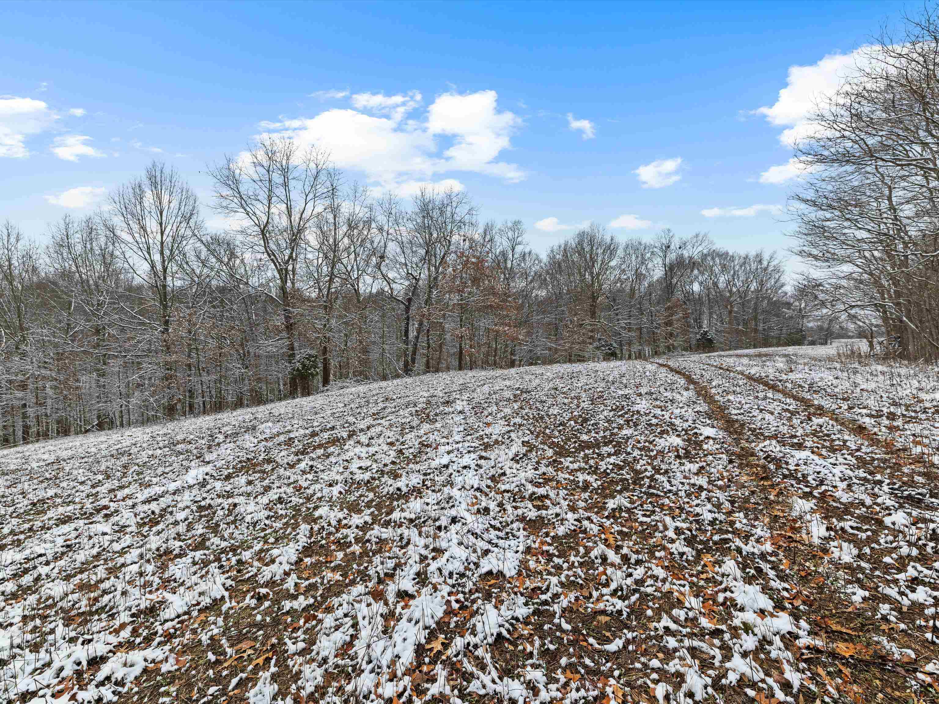 000 Waggener Church-Chalbeate Rd, Dixon, Kentucky 42404, ,Farm,For Sale,Waggener Church-Chalbeate Rd,93718