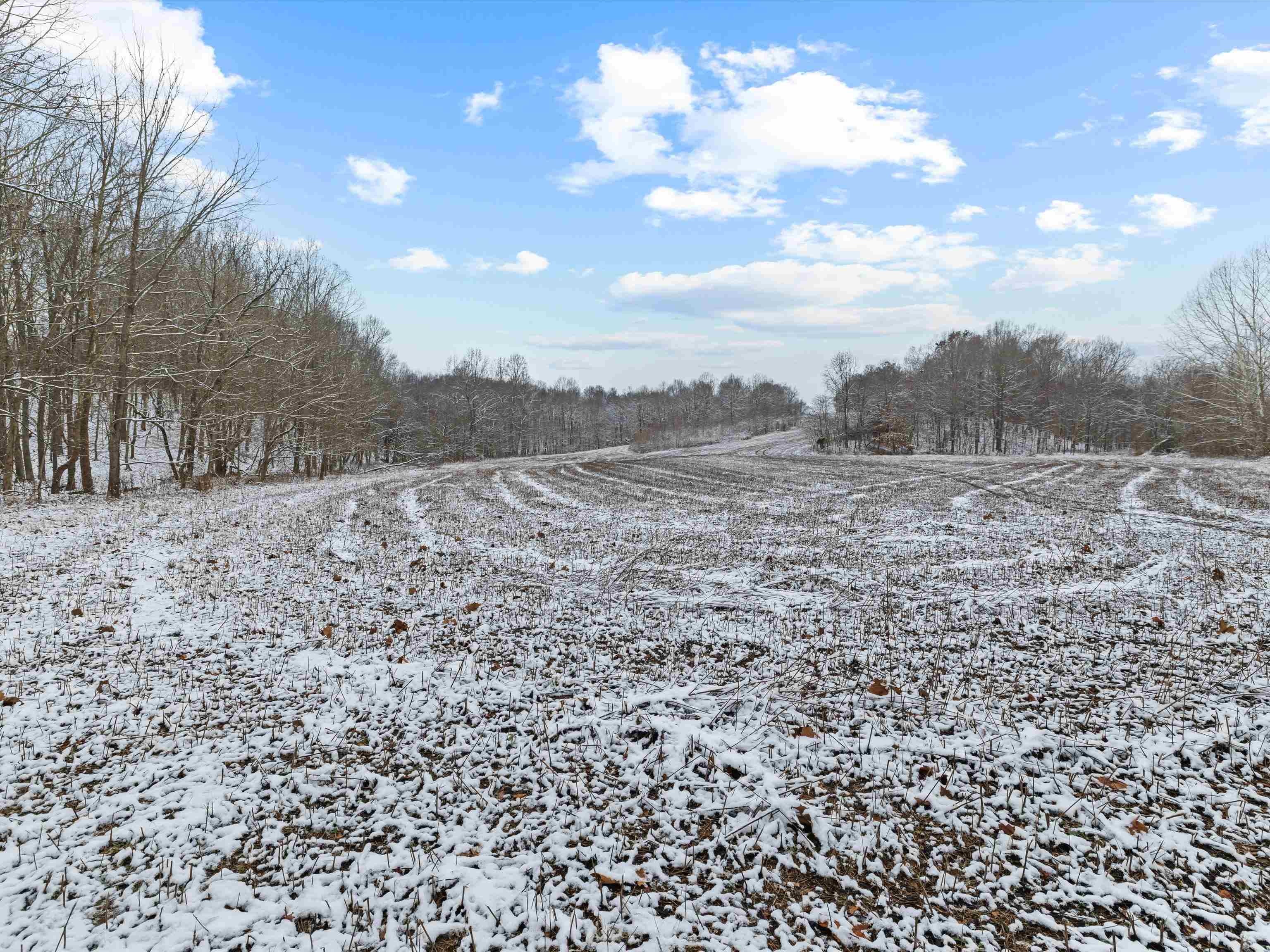 000 Waggener Church-Chalbeate Rd, Dixon, Kentucky 42404, ,Farm,For Sale,Waggener Church-Chalbeate Rd,93718