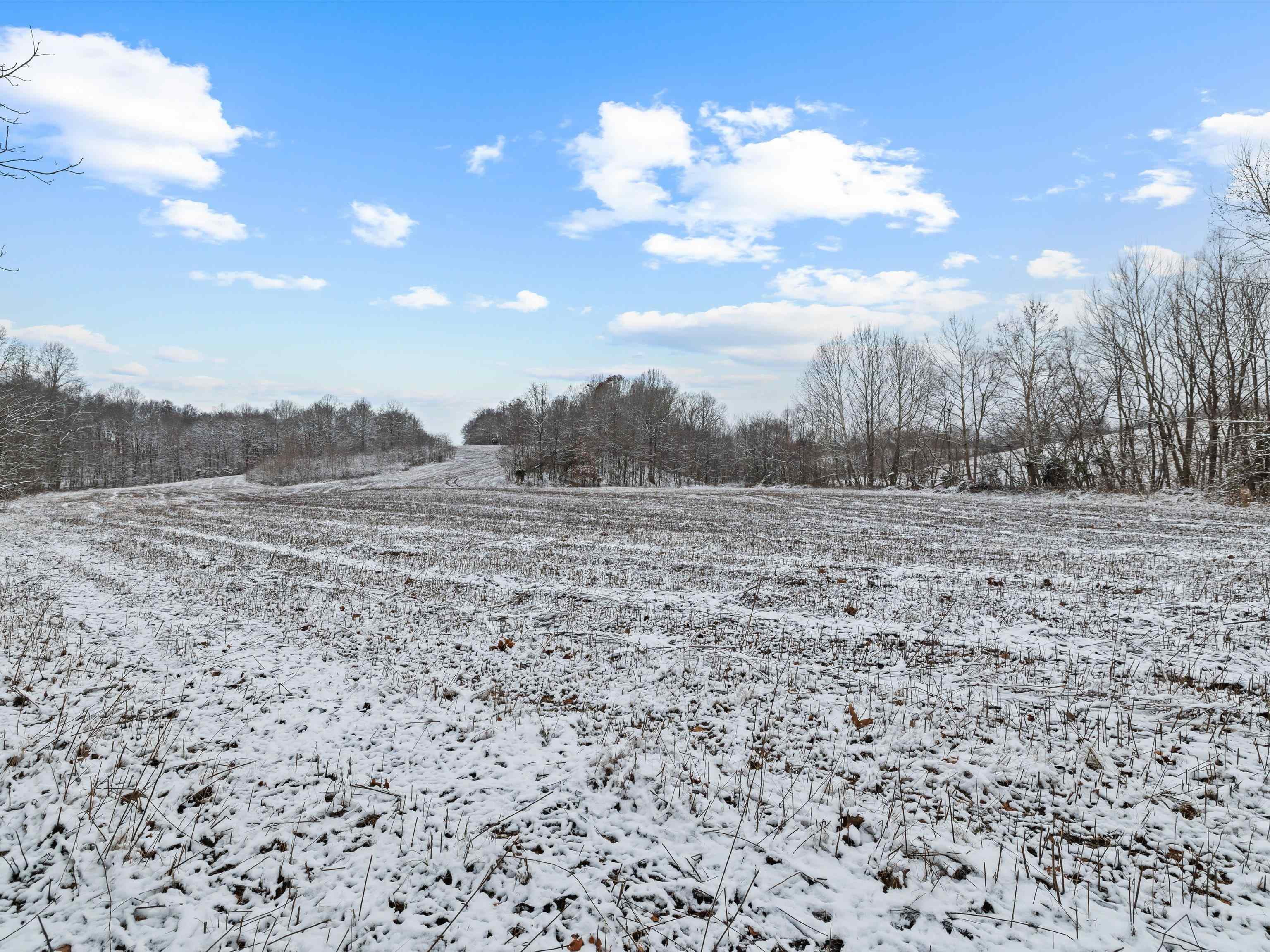 000 Waggener Church-Chalbeate Rd, Dixon, Kentucky 42404, ,Farm,For Sale,Waggener Church-Chalbeate Rd,93718