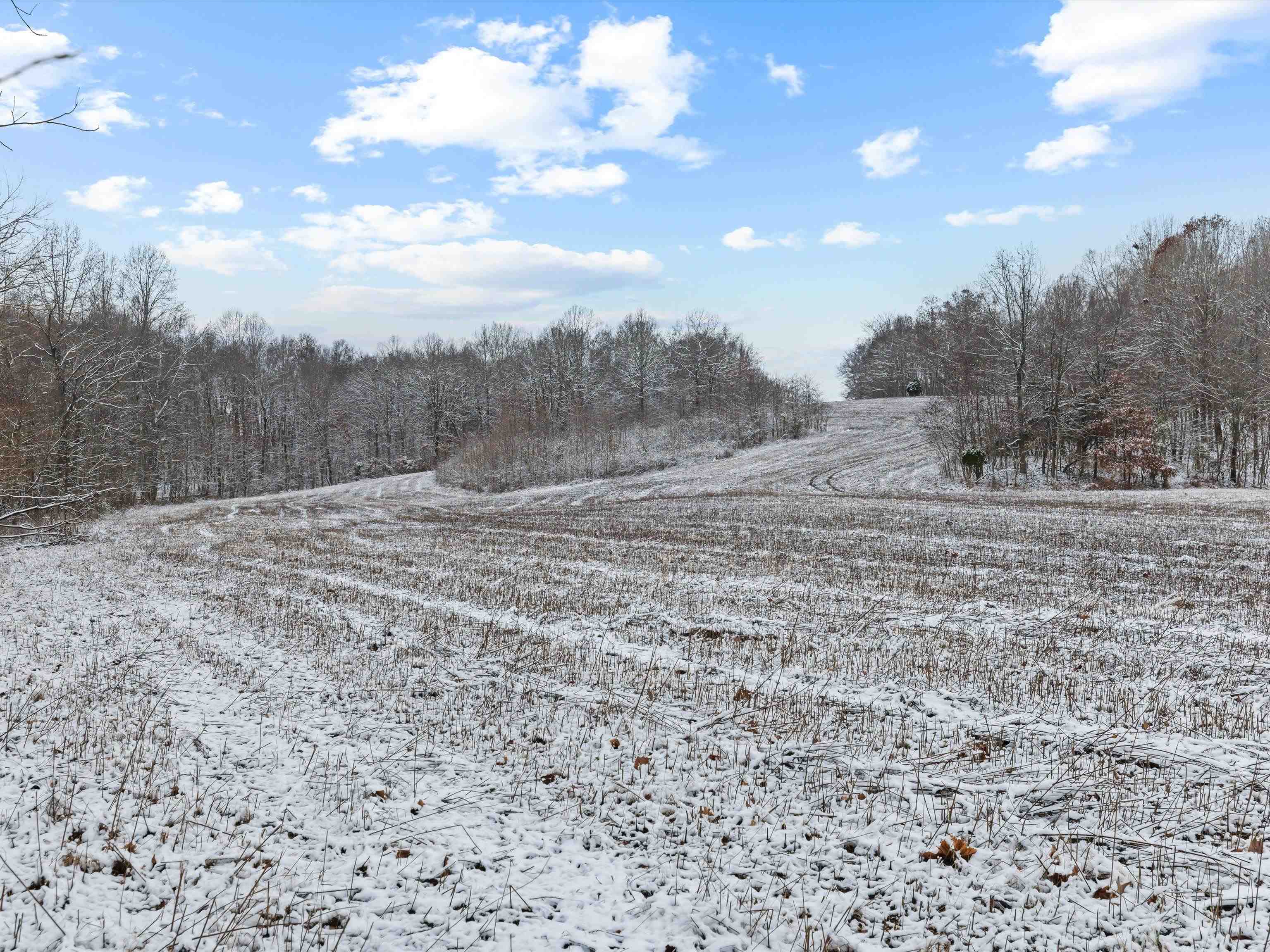 000 Waggener Church-Chalbeate Rd, Dixon, Kentucky 42404, ,Farm,For Sale,Waggener Church-Chalbeate Rd,93718