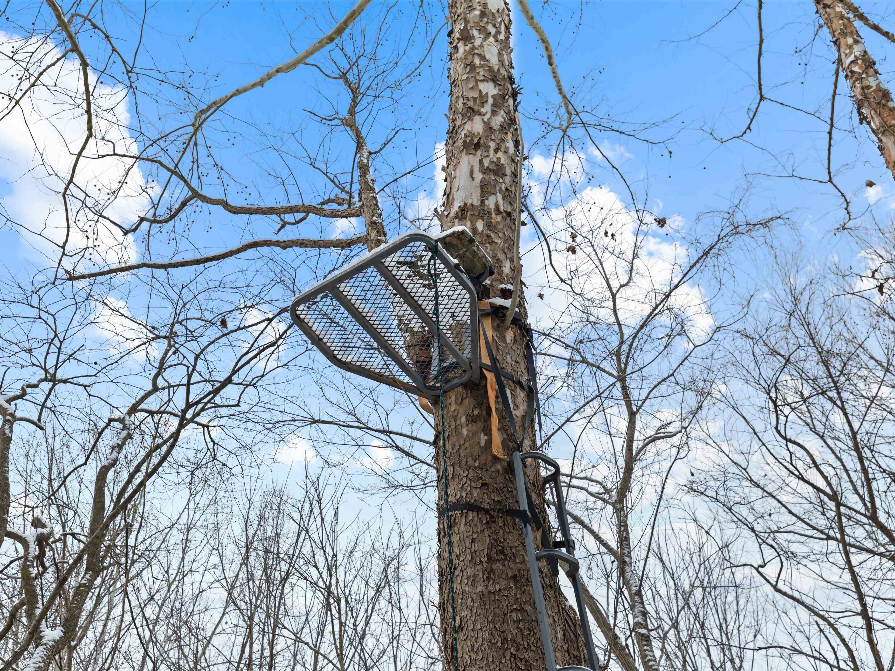 000 Waggener Church-Chalbeate Rd, Dixon, Kentucky 42404, ,Farm,For Sale,Waggener Church-Chalbeate Rd,93718