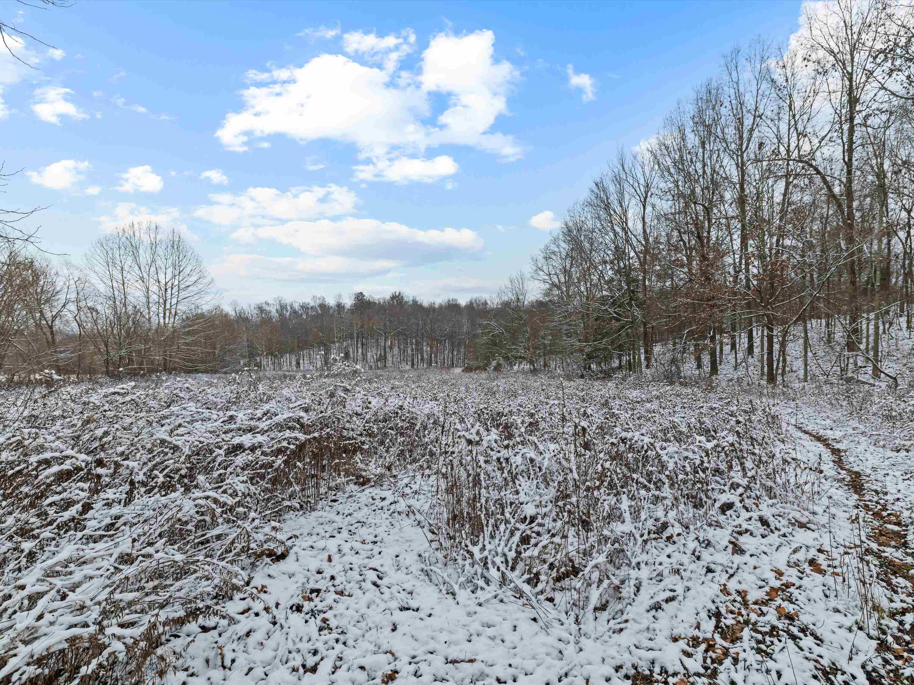 000 Waggener Church-Chalbeate Rd, Dixon, Kentucky 42404, ,Farm,For Sale,Waggener Church-Chalbeate Rd,93718