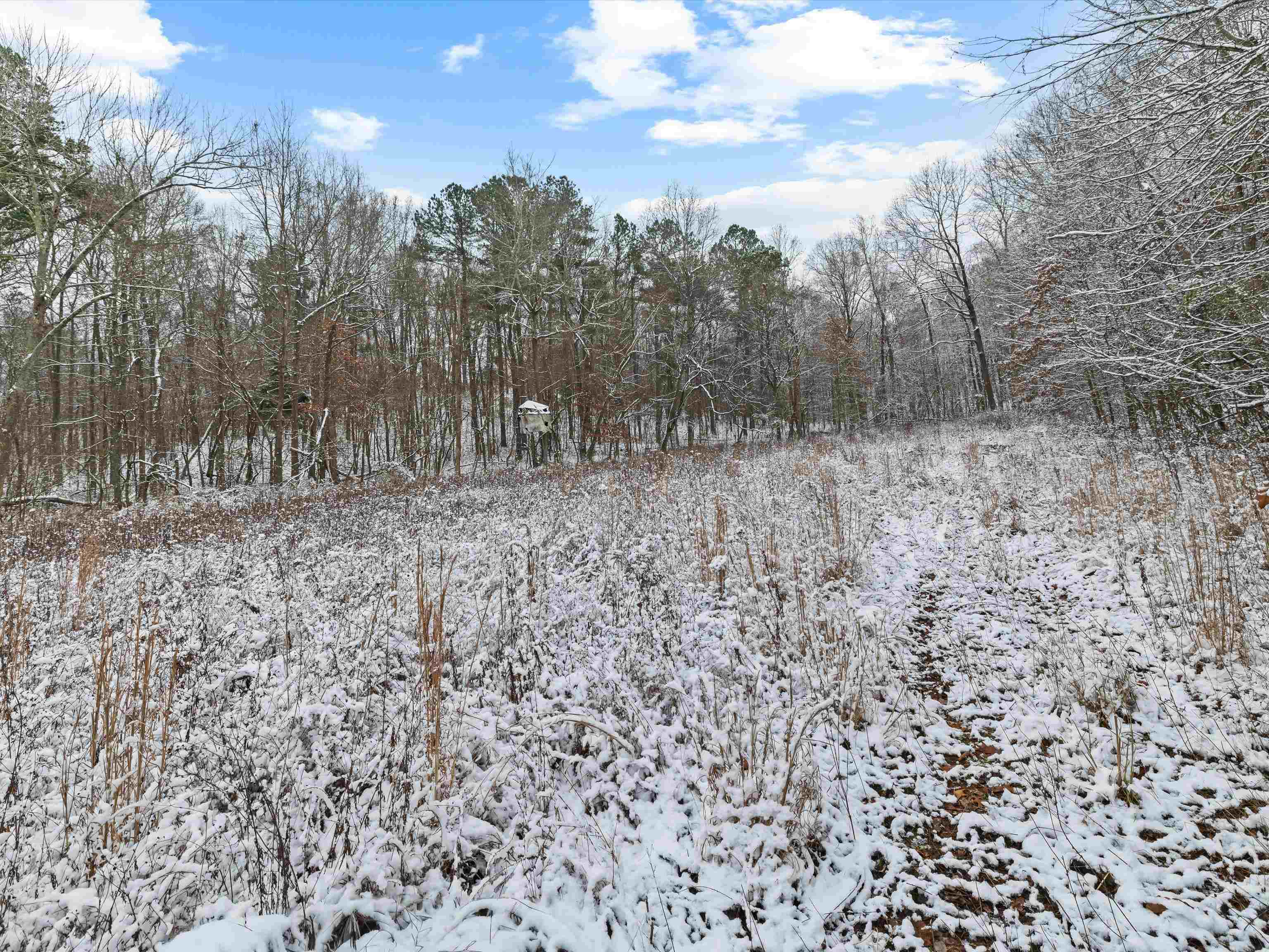 000 Waggener Church-Chalbeate Rd, Dixon, Kentucky 42404, ,Farm,For Sale,Waggener Church-Chalbeate Rd,93718