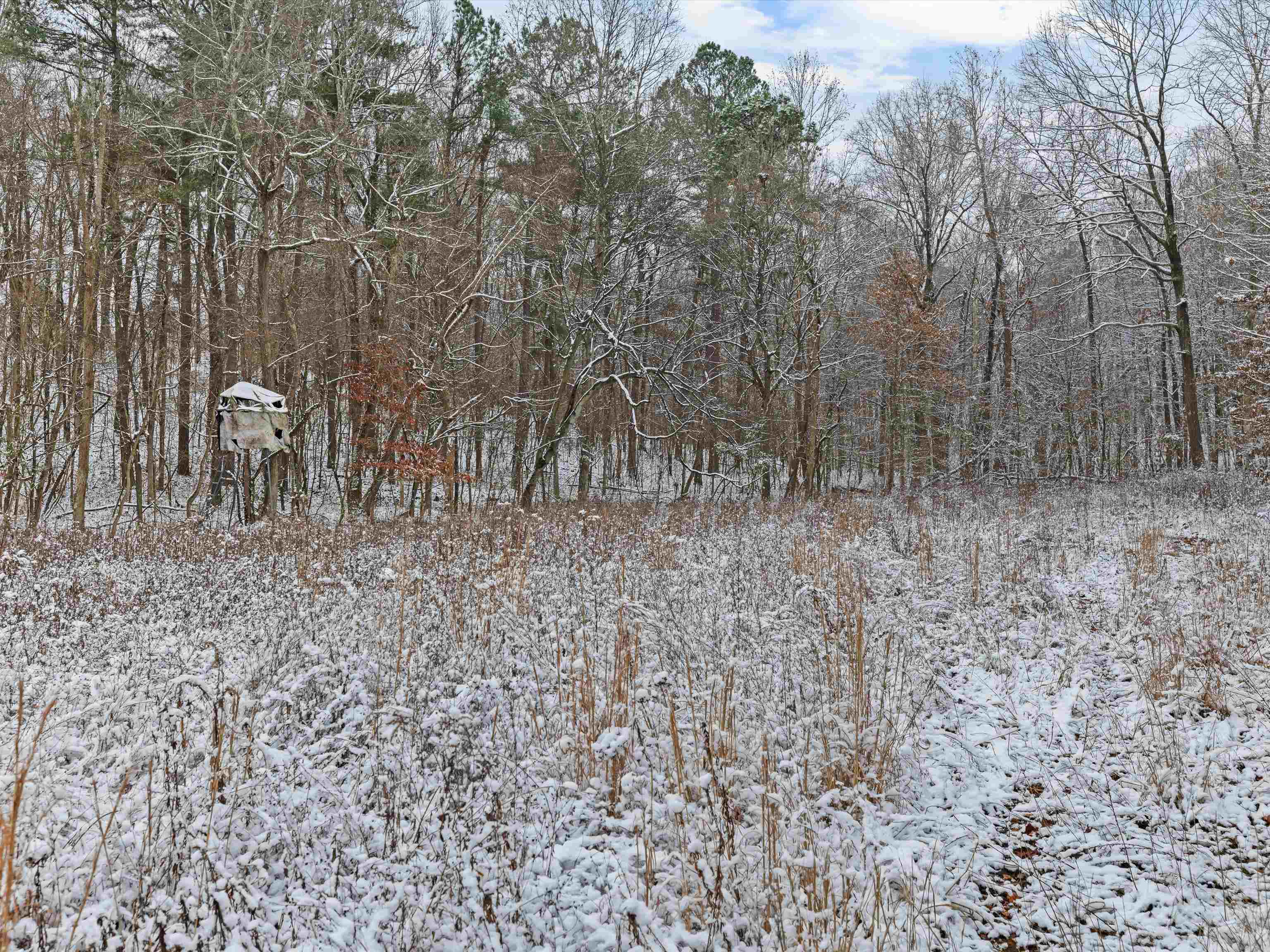 000 Waggener Church-Chalbeate Rd, Dixon, Kentucky 42404, ,Farm,For Sale,Waggener Church-Chalbeate Rd,93718