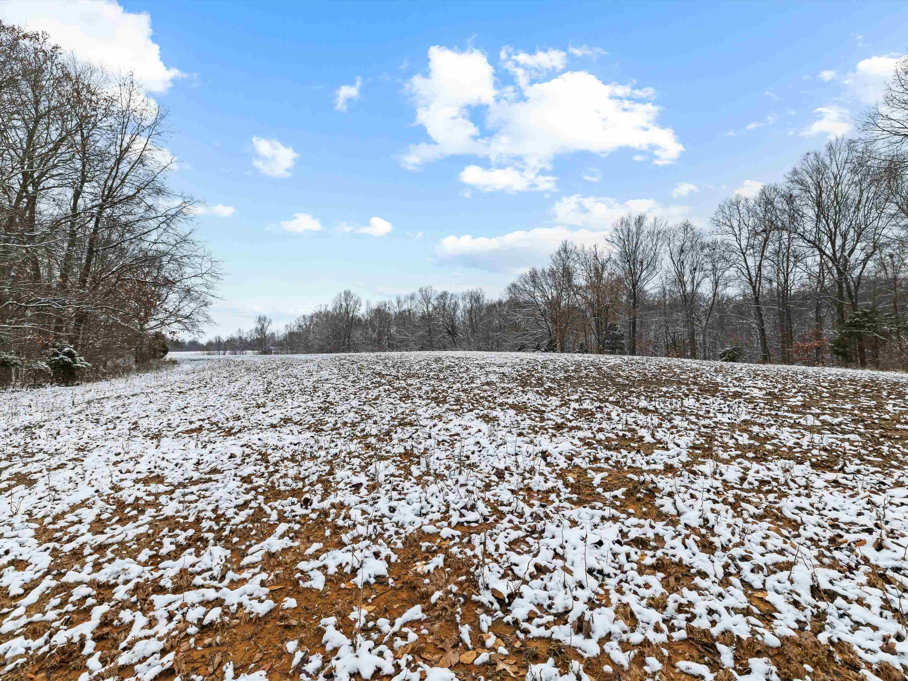 000 Waggener Church-Chalbeate Rd, Dixon, Kentucky 42404, ,Farm,For Sale,Waggener Church-Chalbeate Rd,93718