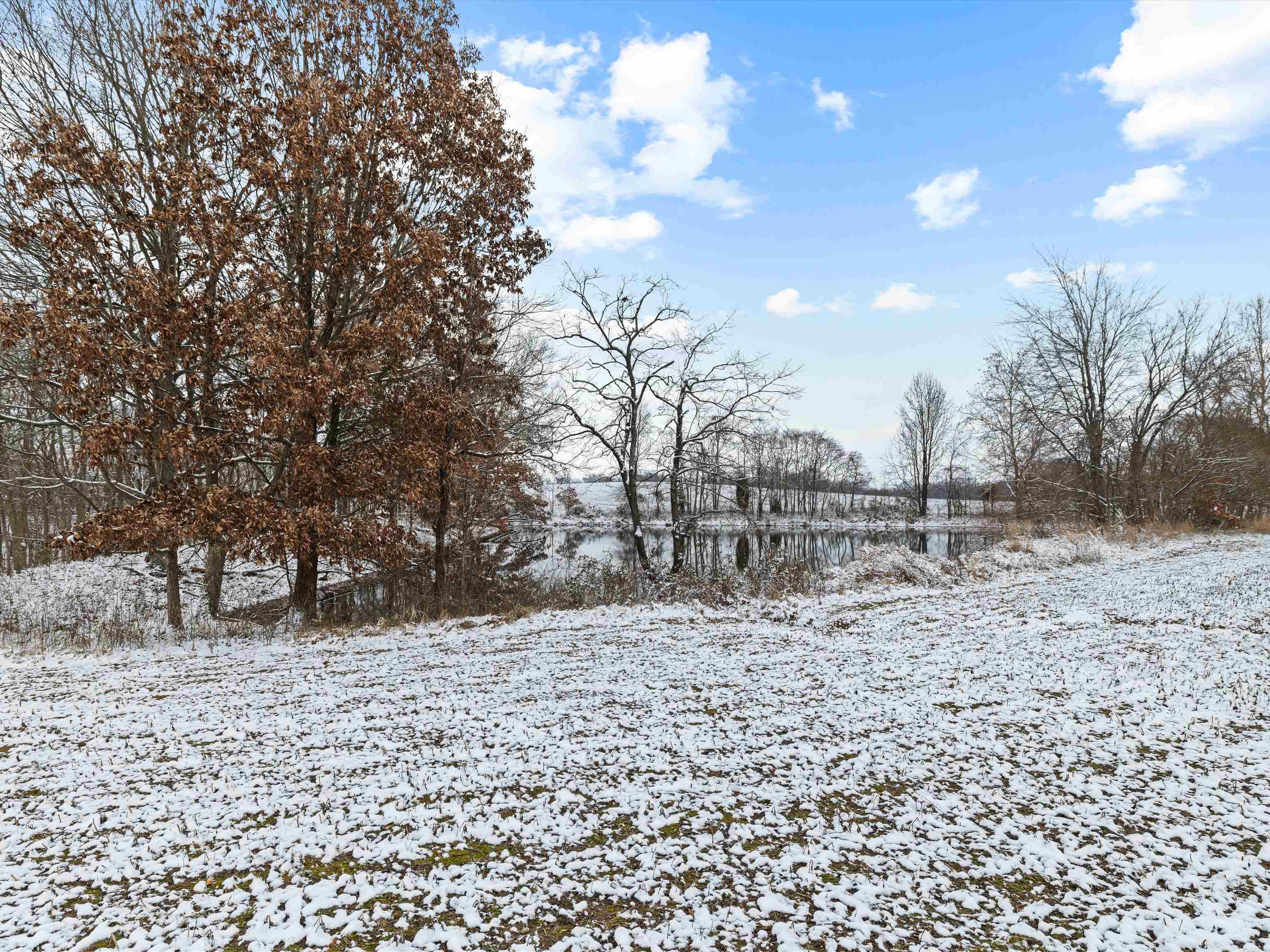 000 Waggener Church-Chalbeate Rd, Dixon, Kentucky 42404, ,Farm,For Sale,Waggener Church-Chalbeate Rd,93718