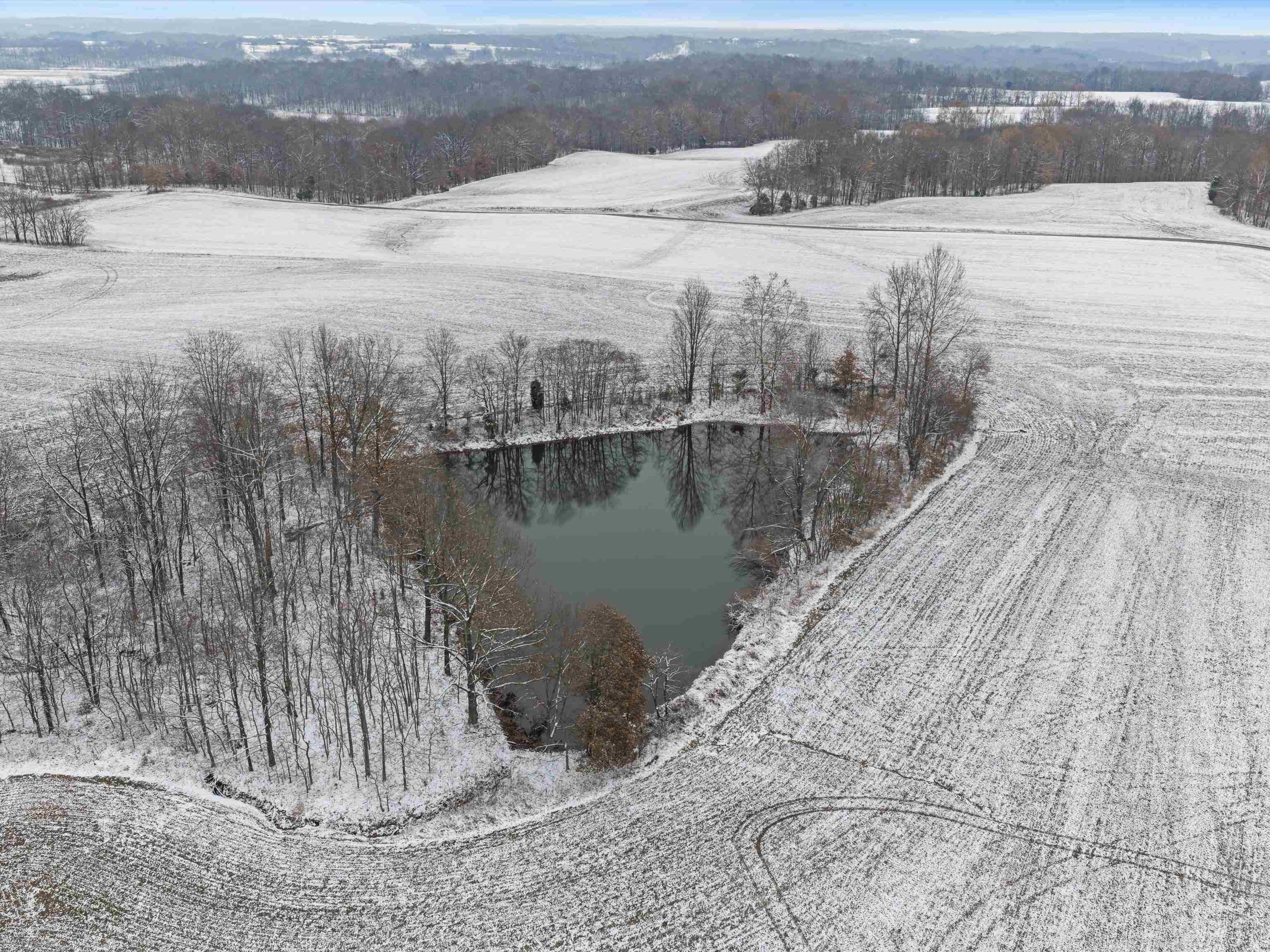 000 Waggener Church-Chalbeate Rd, Dixon, Kentucky 42404, ,Farm,For Sale,Waggener Church-Chalbeate Rd,93718