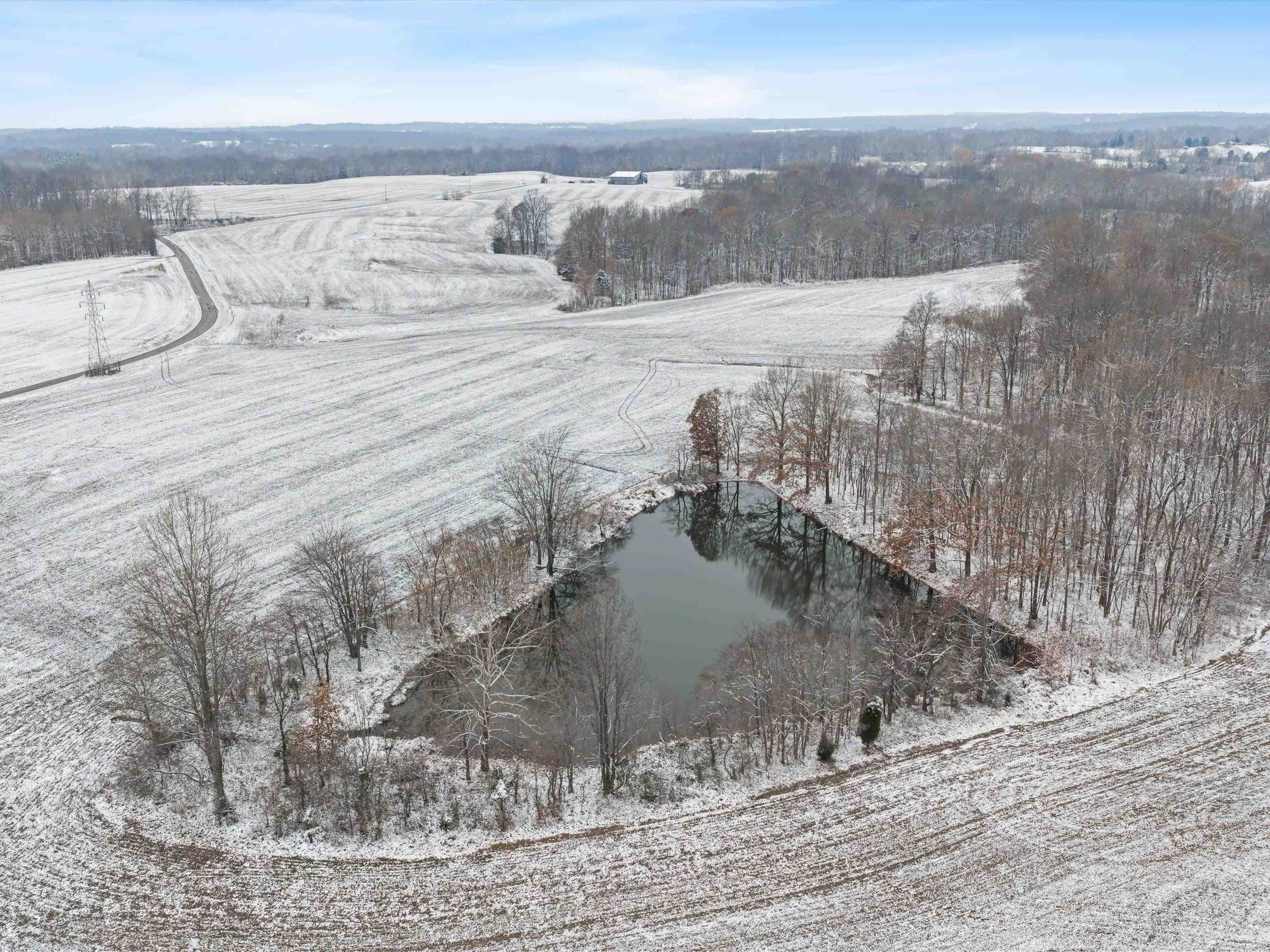 000 Waggener Church-Chalbeate Rd, Dixon, Kentucky 42404, ,Farm,For Sale,Waggener Church-Chalbeate Rd,93718