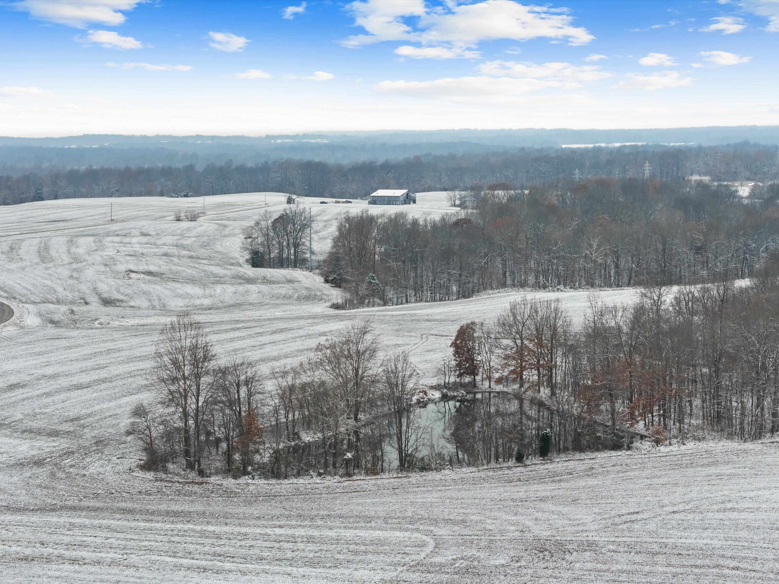 000 Waggener Church-Chalbeate Rd, Dixon, Kentucky 42404, ,Farm,For Sale,Waggener Church-Chalbeate Rd,93718