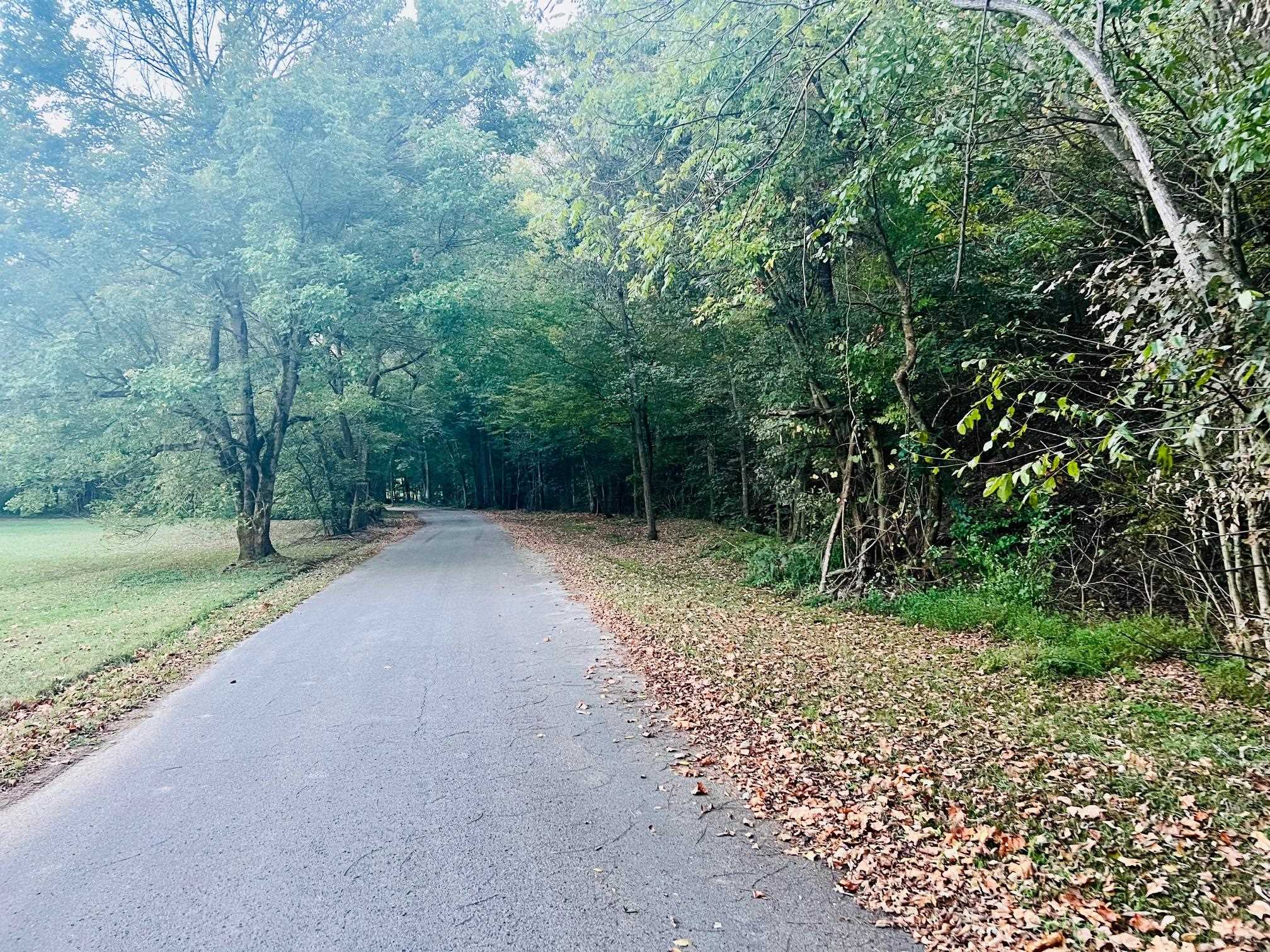 2476 Round Hill Rd, Hartford, Kentucky 42347, ,Farm,For Sale,Round Hill Rd,93793