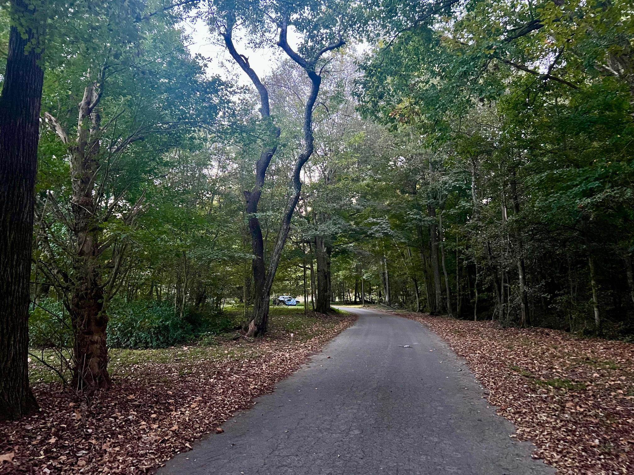 2476 Round Hill Rd, Hartford, Kentucky 42347, ,Farm,For Sale,Round Hill Rd,93793