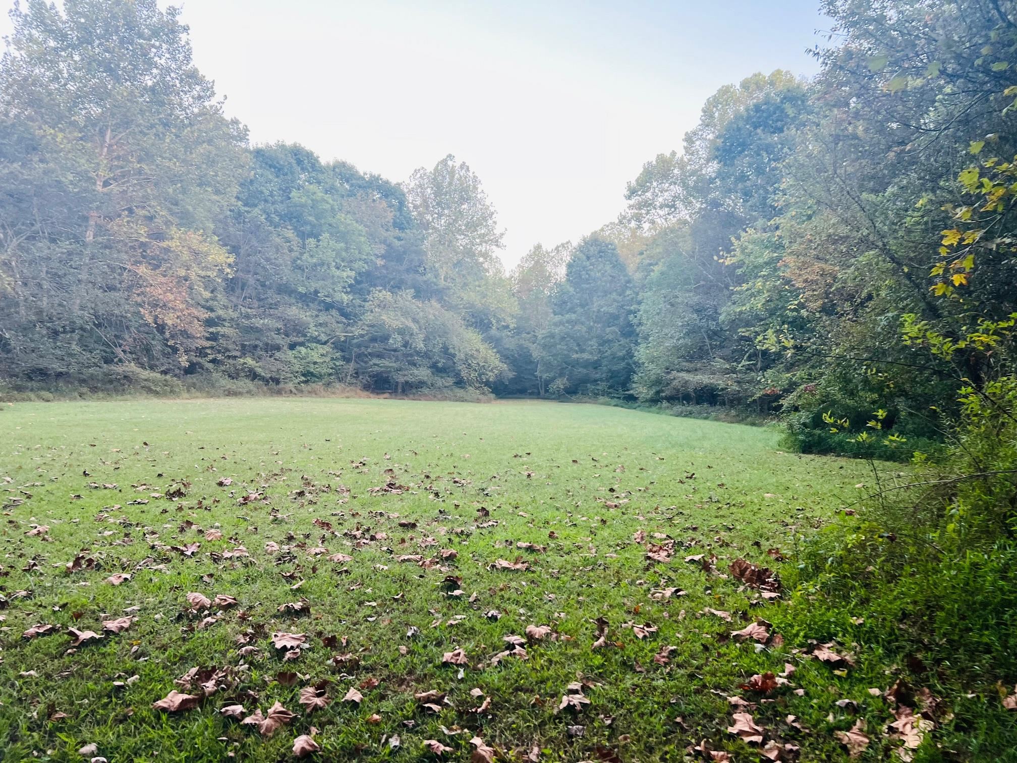 2476 Round Hill Rd, Hartford, Kentucky 42347, ,Farm,For Sale,Round Hill Rd,93793