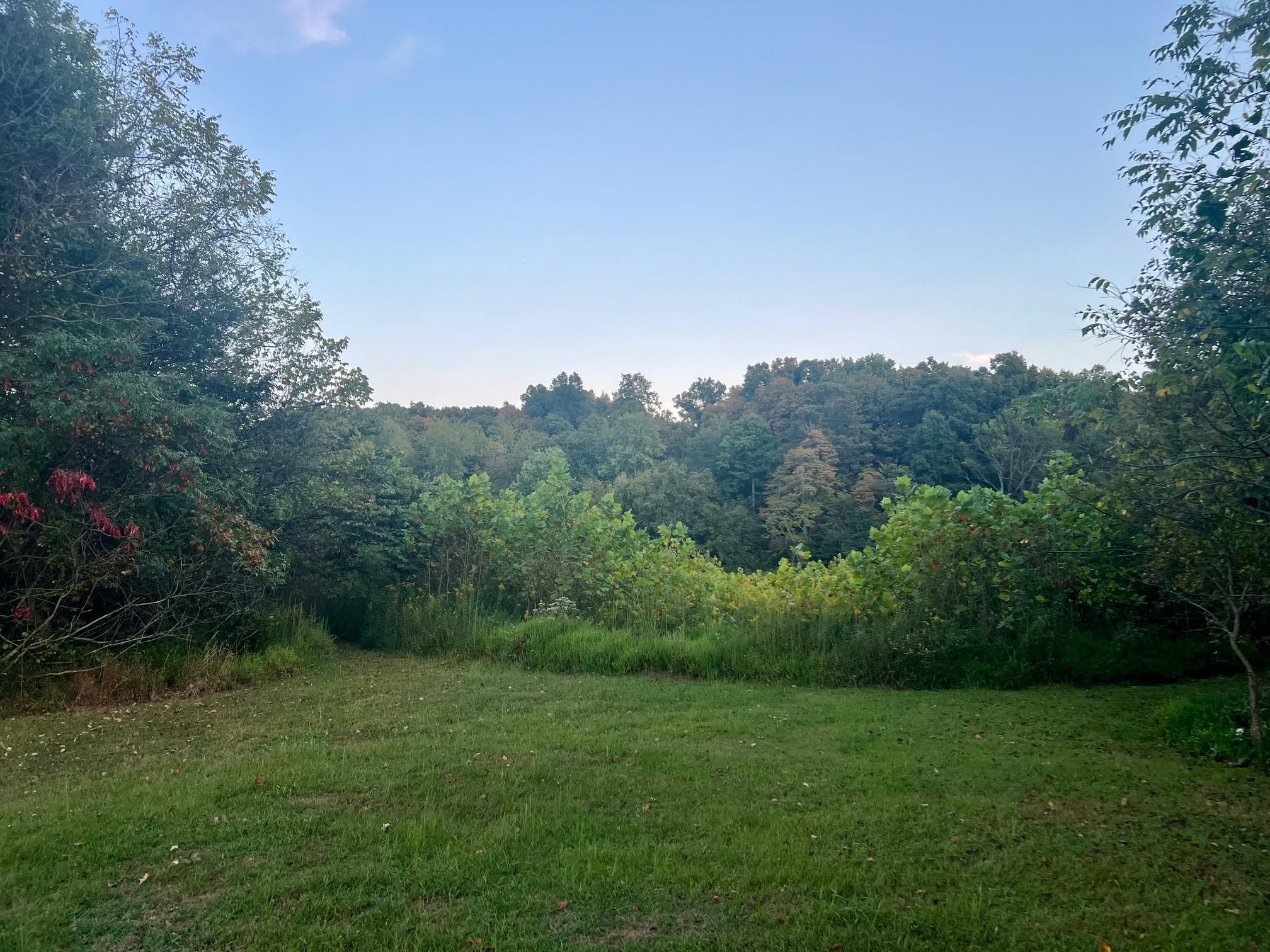 2476 Round Hill Rd, Hartford, Kentucky 42347, ,Farm,For Sale,Round Hill Rd,93793