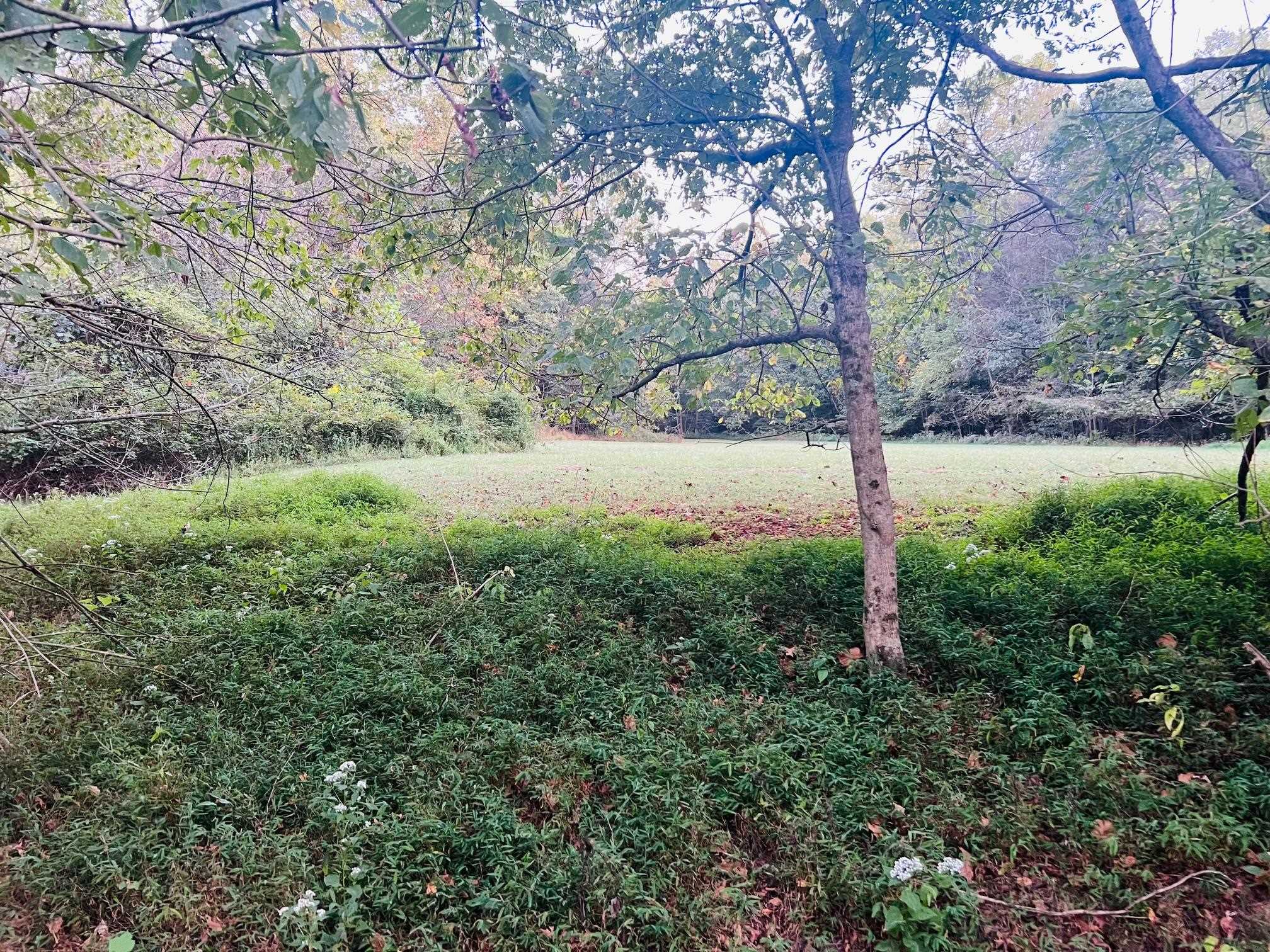 2476 Round Hill Rd, Hartford, Kentucky 42347, ,Farm,For Sale,Round Hill Rd,93793