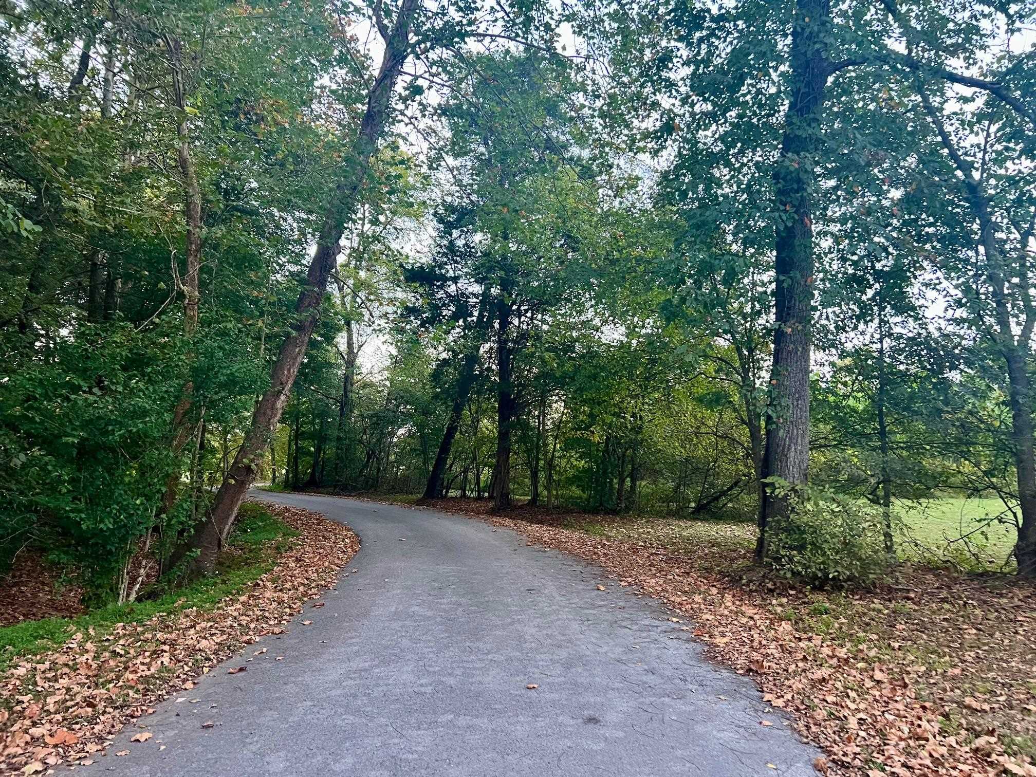 2476 Round Hill Rd, Hartford, Kentucky 42347, ,Farm,For Sale,Round Hill Rd,93793