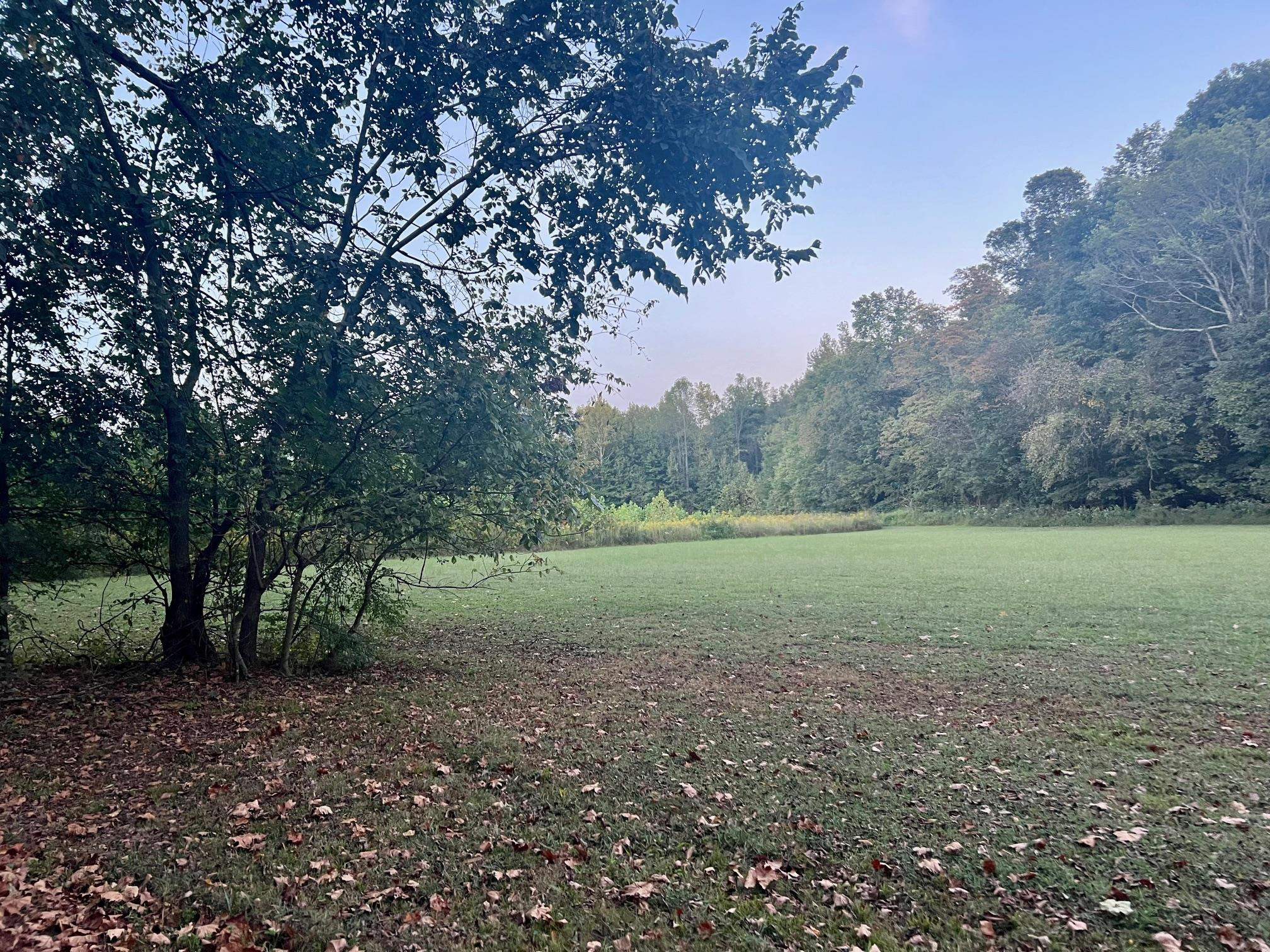 2476 Round Hill Rd, Hartford, Kentucky 42347, ,Farm,For Sale,Round Hill Rd,93793