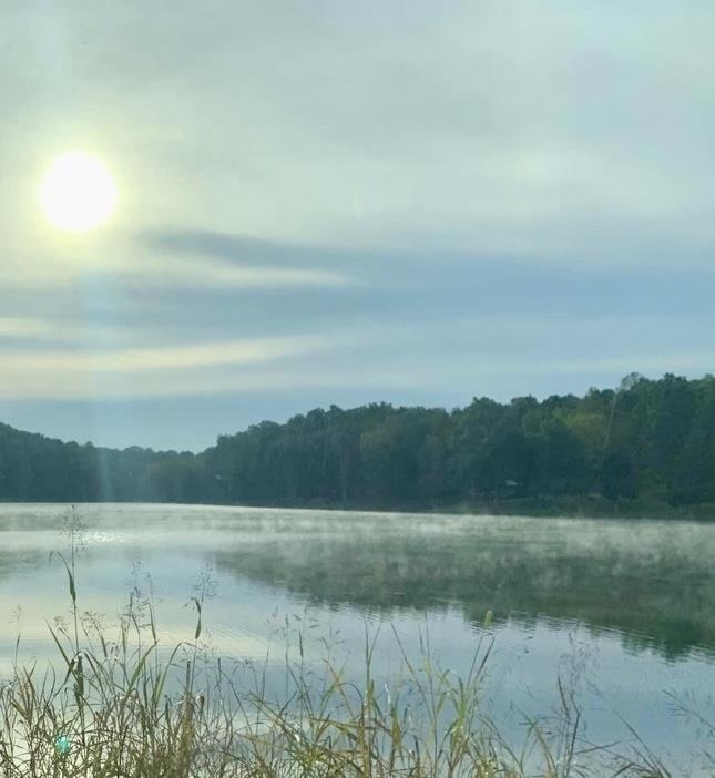 2476 Round Hill Rd, Hartford, Kentucky 42347, ,Farm,For Sale,Round Hill Rd,93793