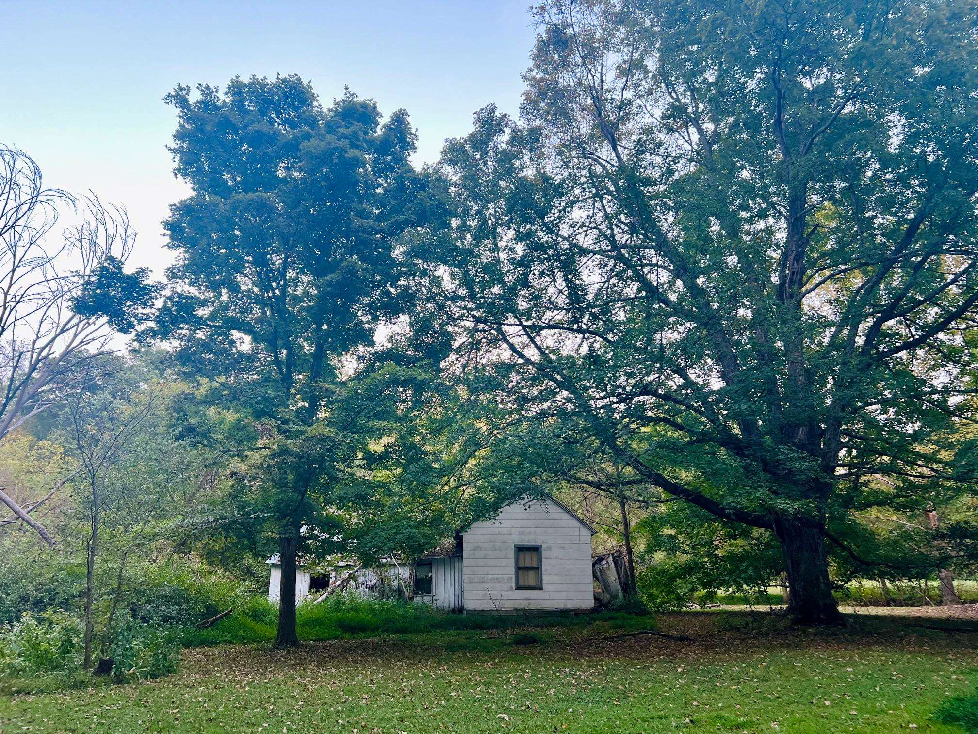 2476 Round Hill Rd, Hartford, Kentucky 42347, ,Farm,For Sale,Round Hill Rd,93793