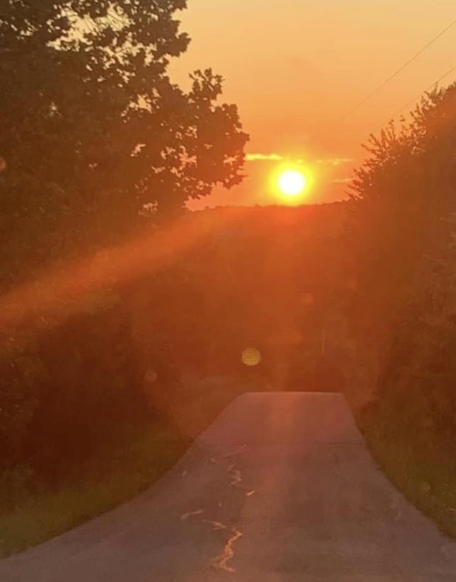 2476 Round Hill Rd, Hartford, Kentucky 42347, ,Farm,For Sale,Round Hill Rd,93793