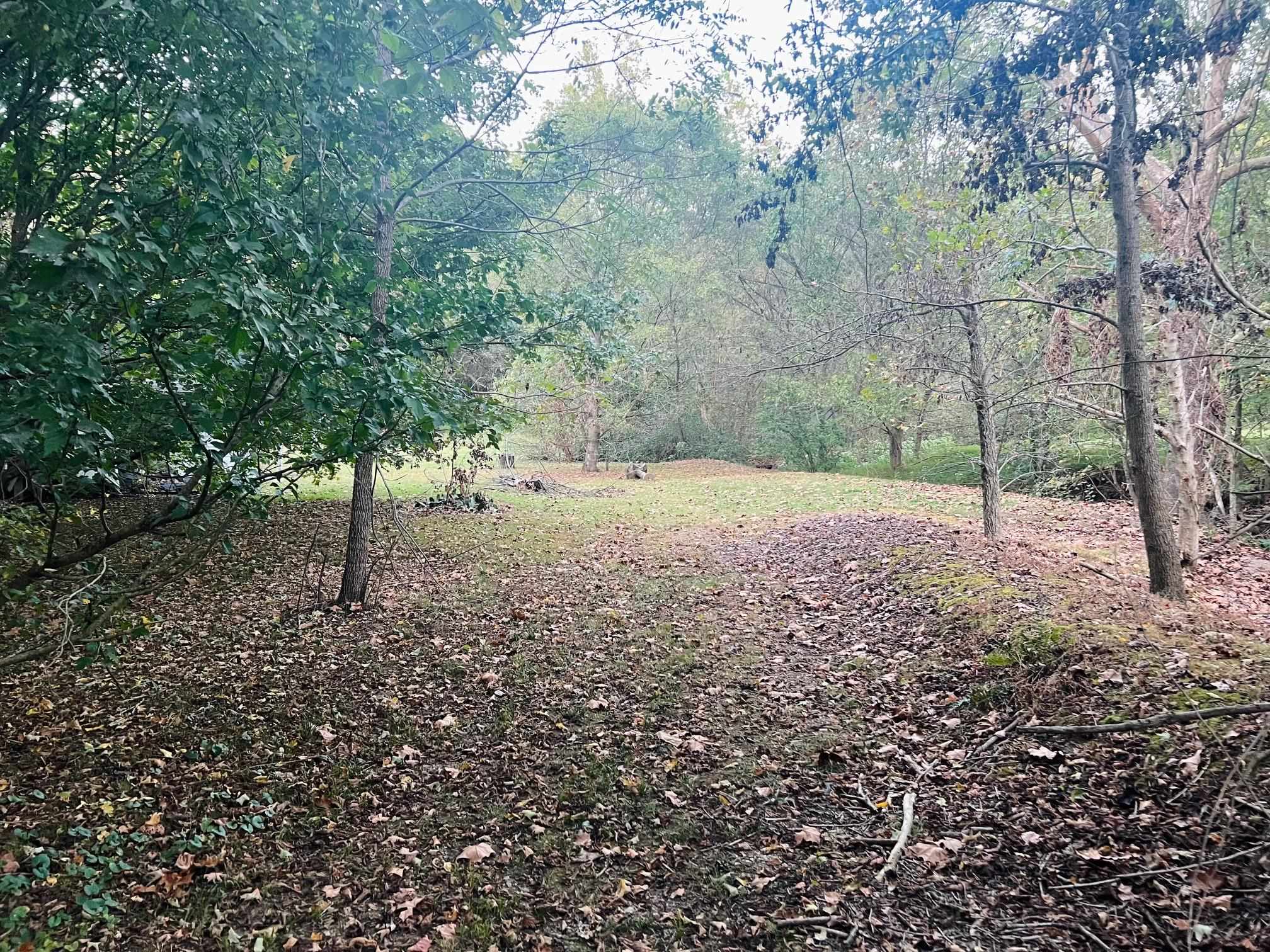 2476 Round Hill Rd, Hartford, Kentucky 42347, ,Farm,For Sale,Round Hill Rd,93793