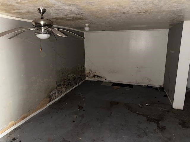 368 Plum Springs Rd, Bowling Green, Kentucky 42101, 4 Bedrooms Bedrooms, ,2 BathroomsBathrooms,Duplex,For Sale,Plum Springs Rd,93801