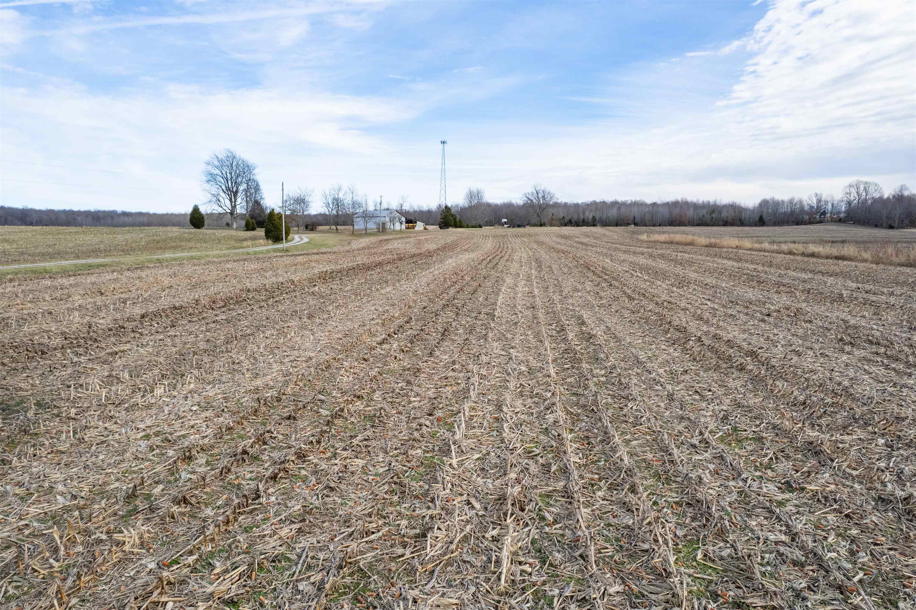 1939 Greenbriar Rd, Utica, Kentucky 42376, ,Farm,For Sale,Greenbriar Rd,93809