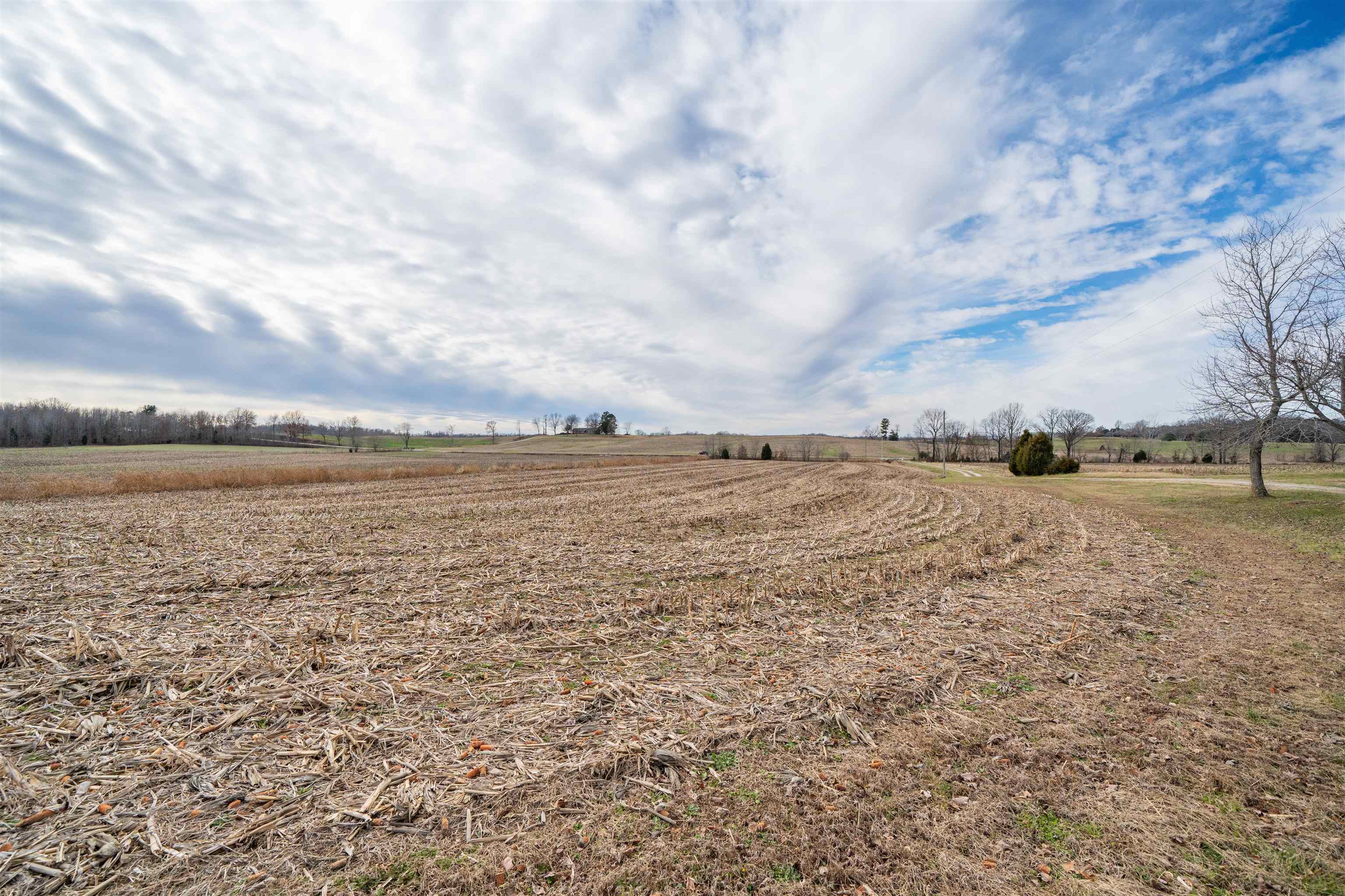 1939 Greenbriar Rd, Utica, Kentucky 42376, ,Farm,For Sale,Greenbriar Rd,93809